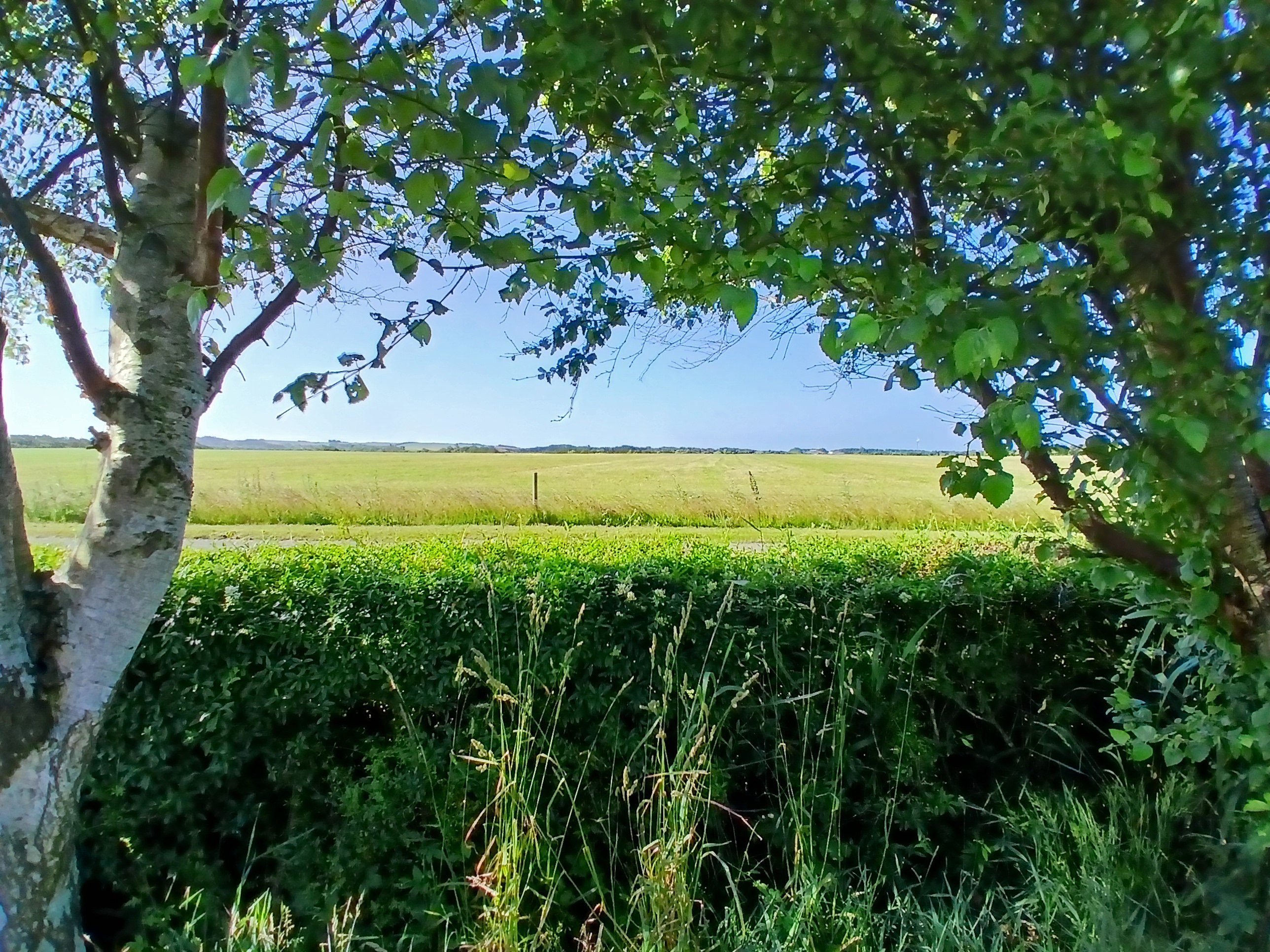 Miniaturebillede 1: . Billede af Aggervej 3, 7770 Vestervig