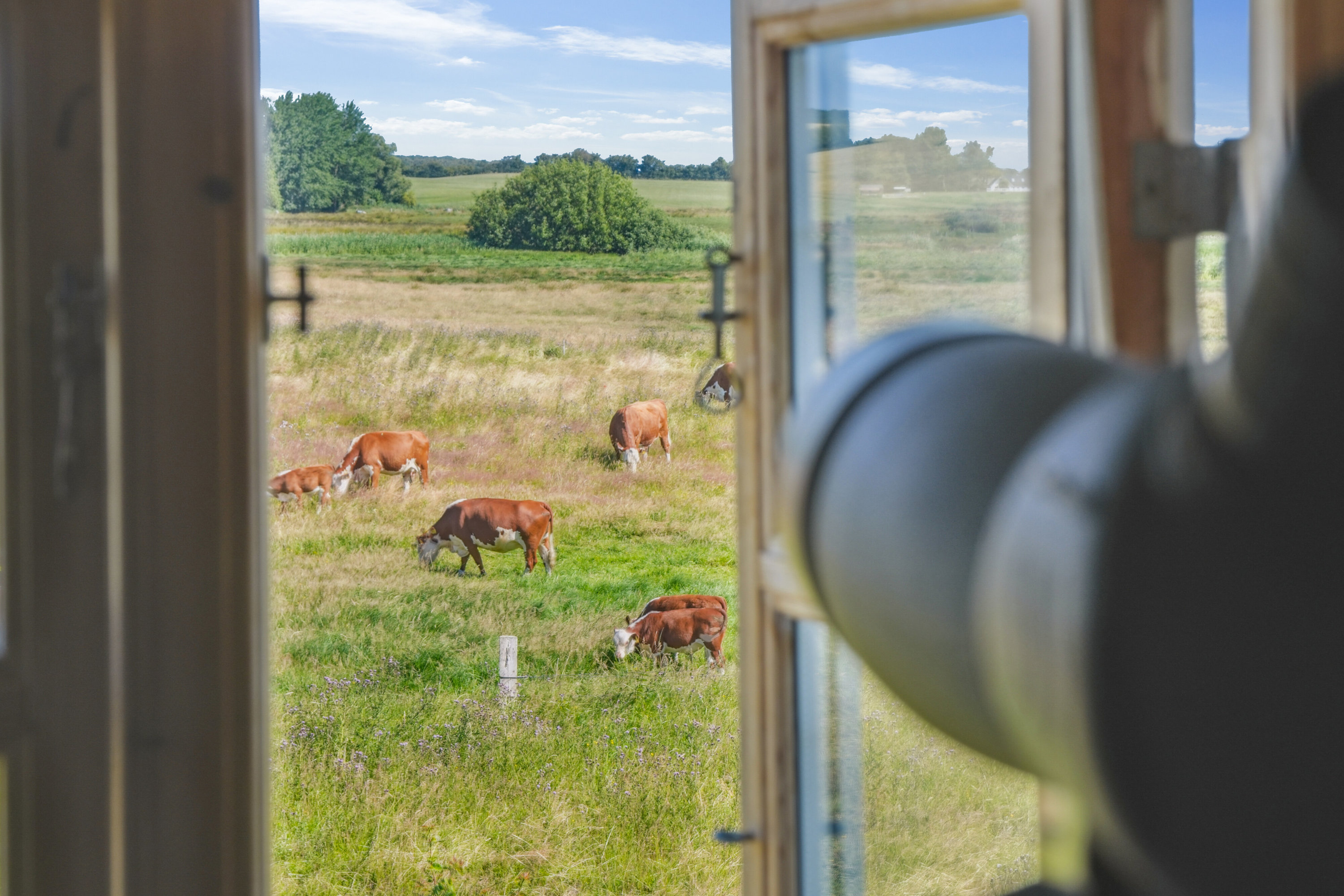Fremhævet udsigt billede i fuldskærmstilstand. Billede af Klæsøvej 4, Klæsø, 5900 Rudkøbing