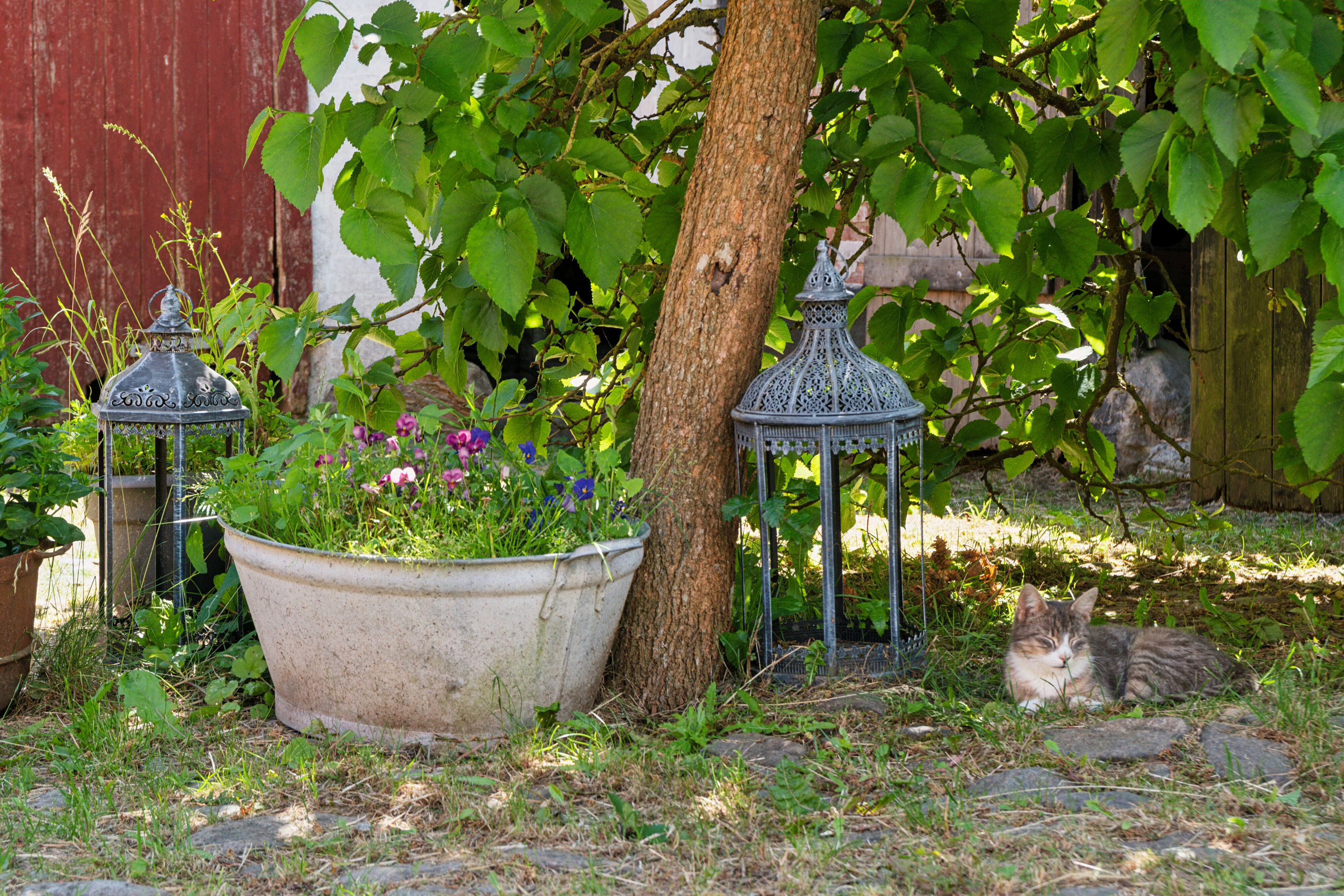 Fremhævet udendørs billede i fuldskærmstilstand. Billede af Røbrovej 10, Rø, 3760 Gudhjem