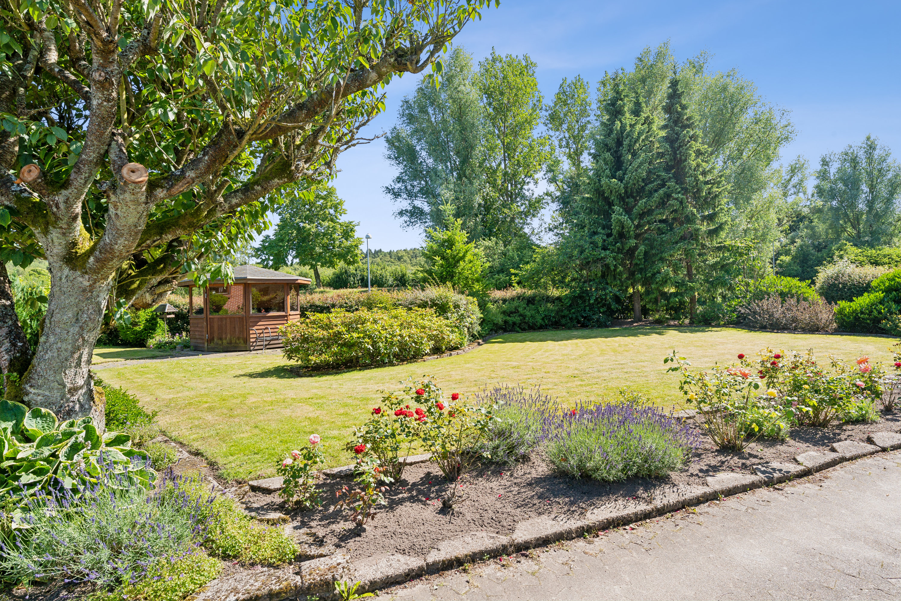 Fremhævet have billede i fuldskærmstilstand. Billede af Lærkevej 15, 8850 Bjerringbro