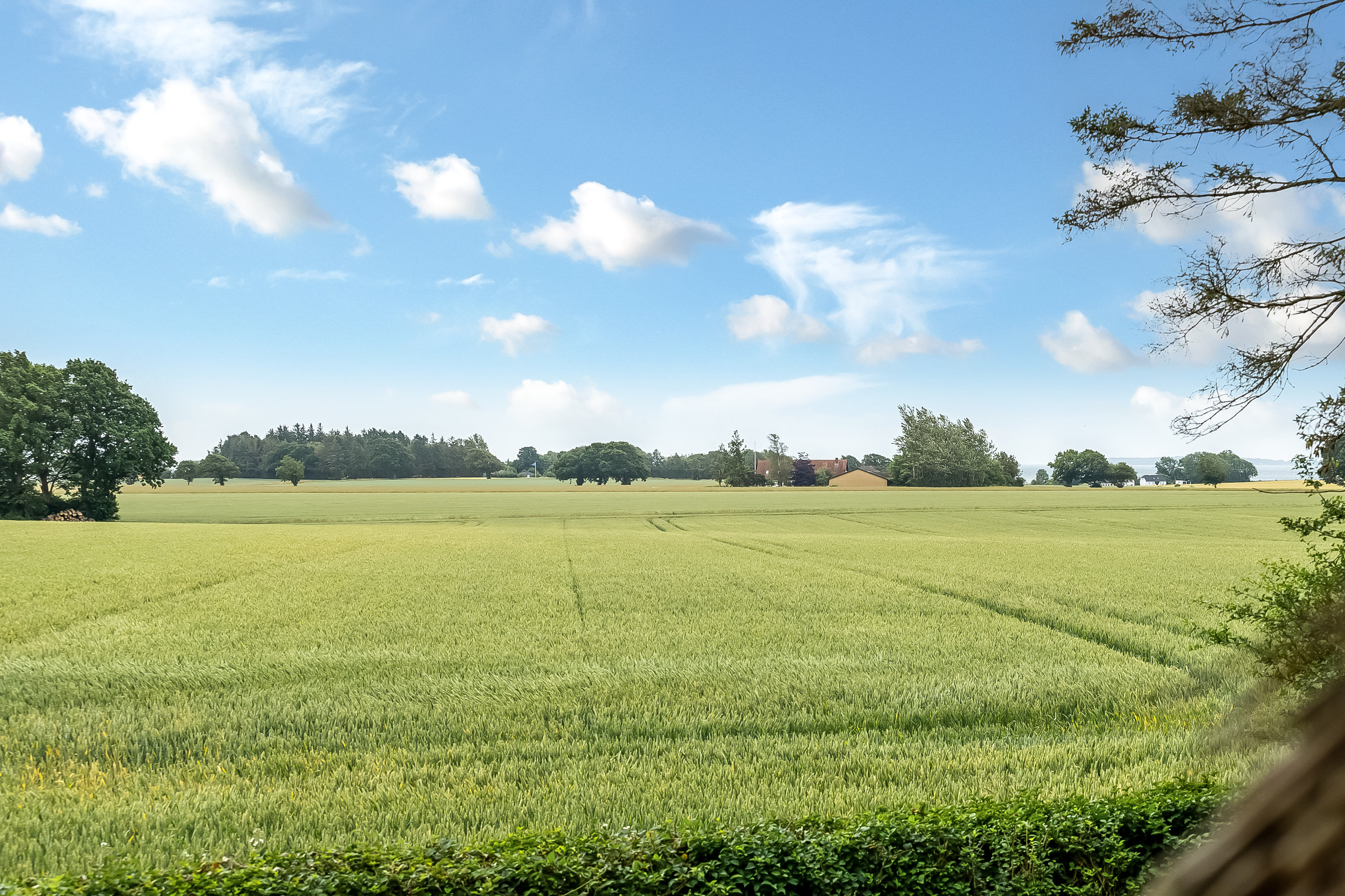 Fremhævet udsigt billede i fuldskærmstilstand. Billede af Gl. Ålbovej 24, 6092 Sønder Stenderup