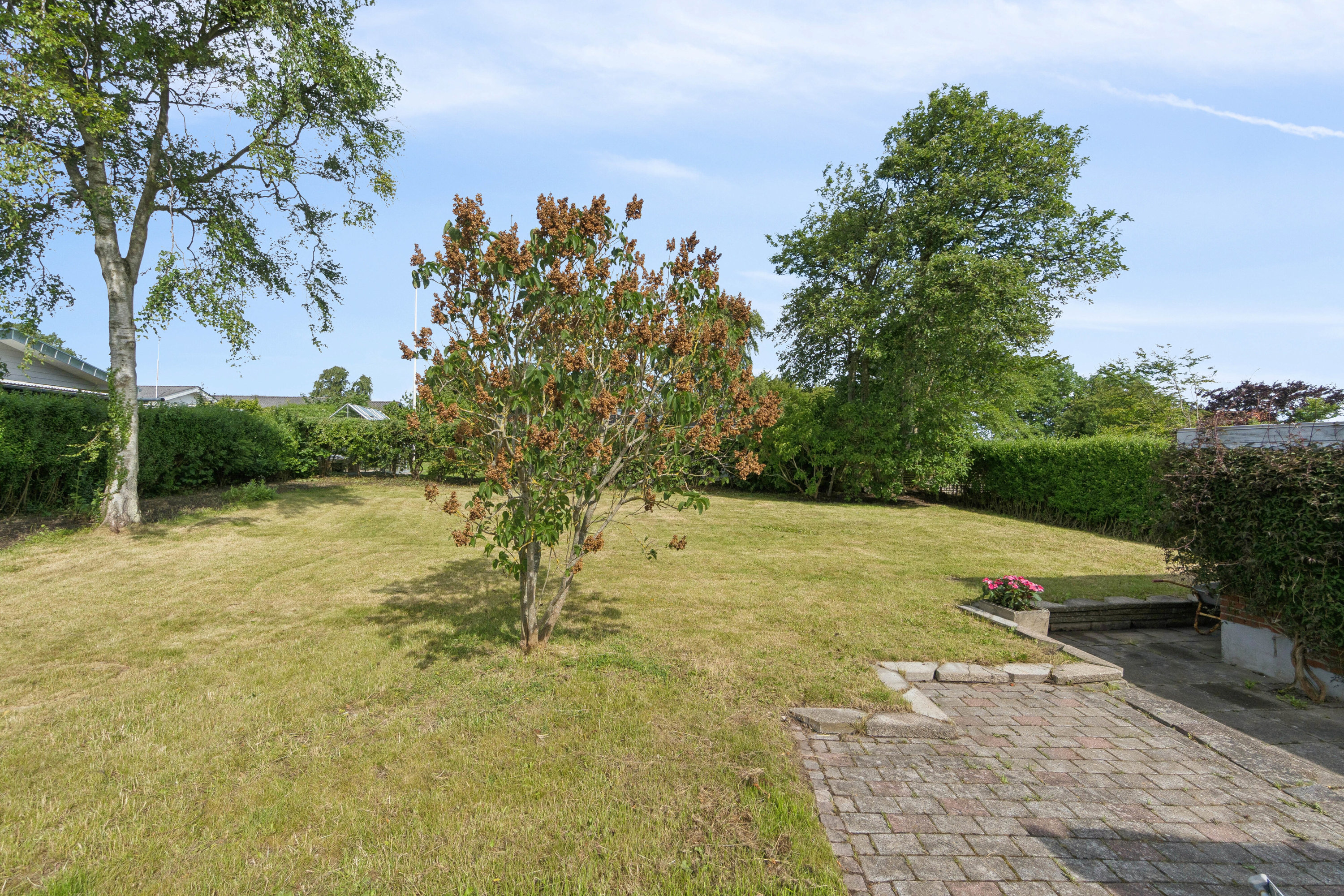 Fremhævet set fra haven billede i fuldskærmstilstand. Billede af Winthersmøllevej 25, Tingstrup, 7700 Thisted