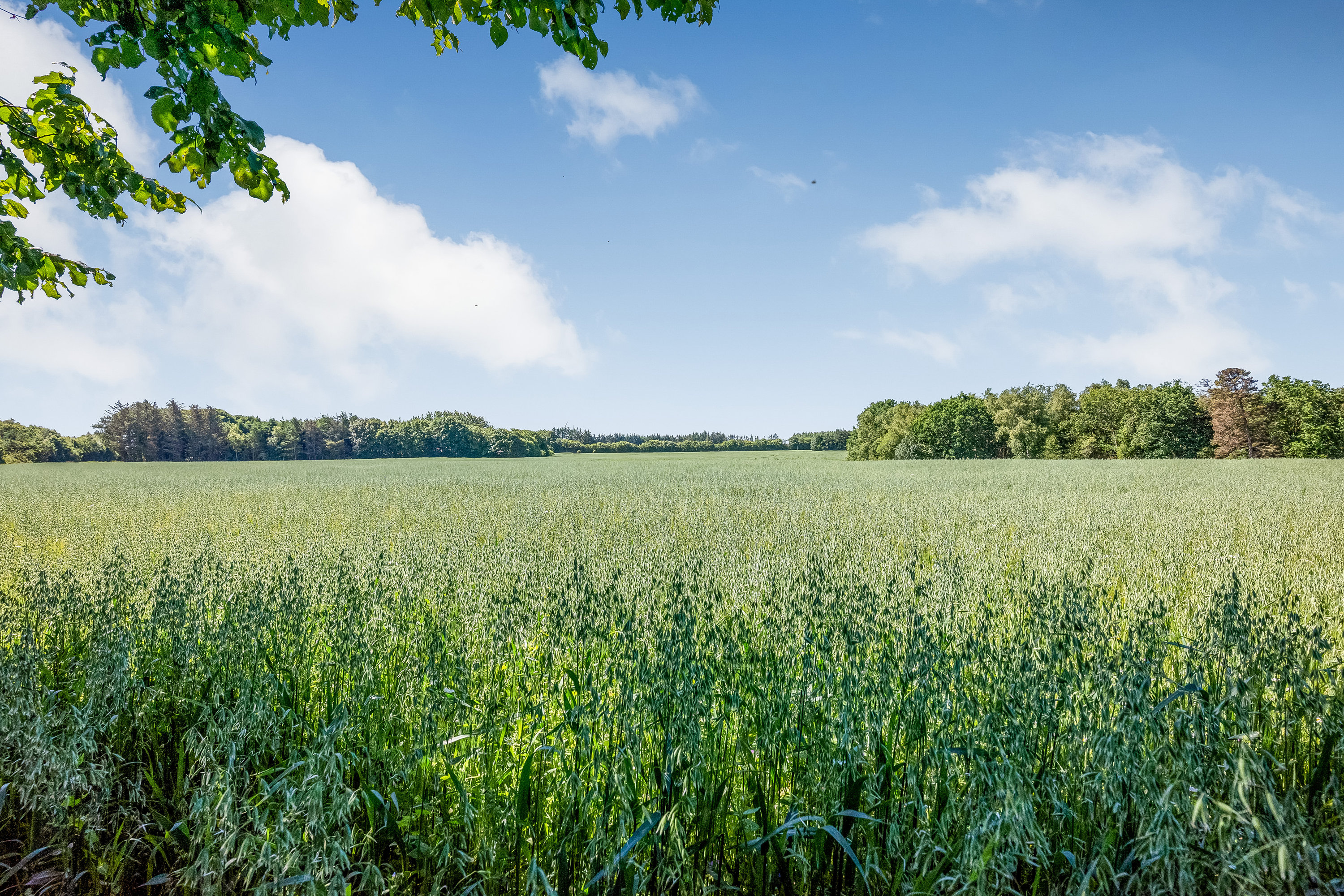 Fremhævet udsigt billede i fuldskærmstilstand. Billede af Kræmmergårdvej 42, Møborg, 7660 Bækmarksbro