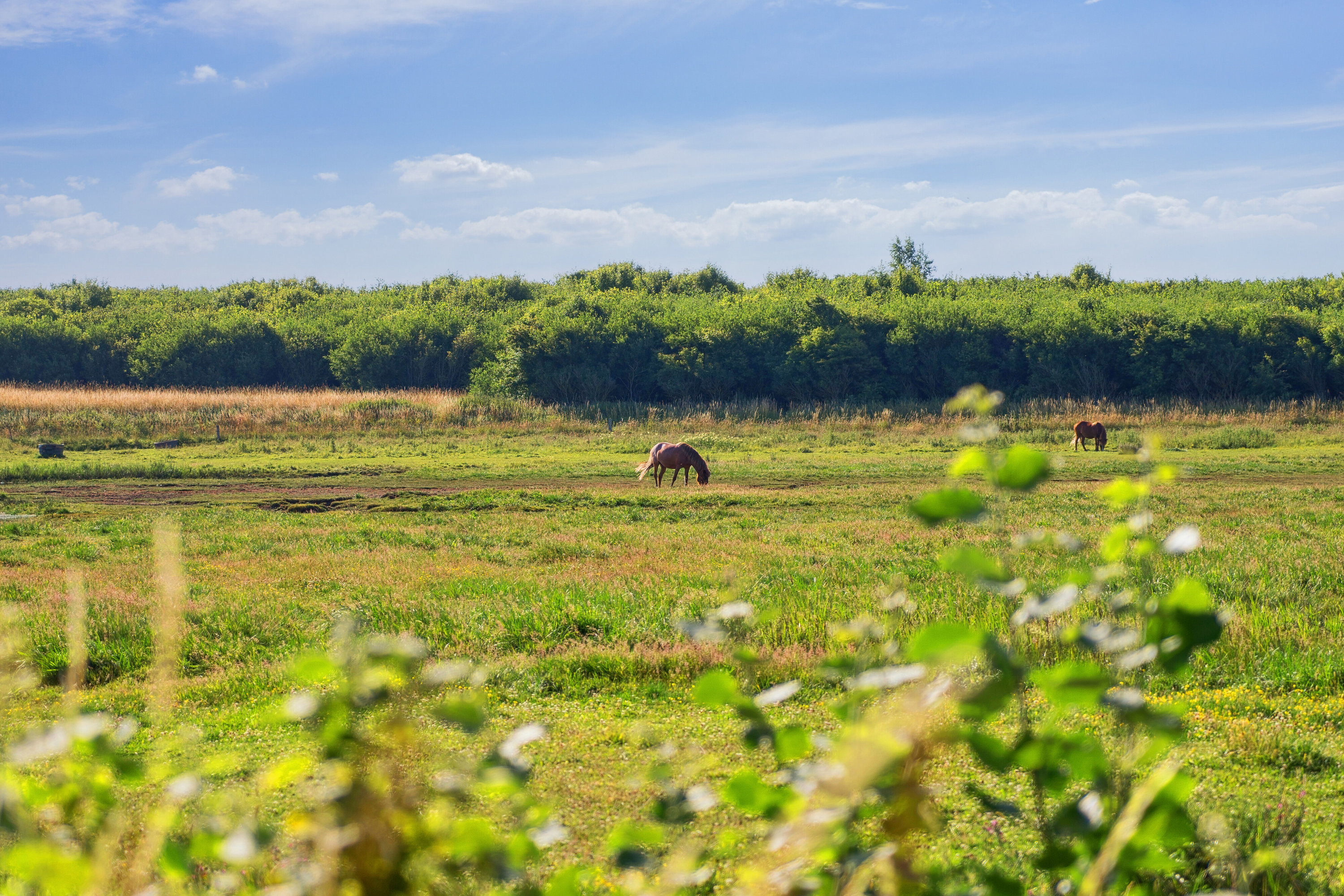 Fremhævet udendørs billede i fuldskærmstilstand. Billede af Hybenvej 17, Kobæk, 4230 Skælskør