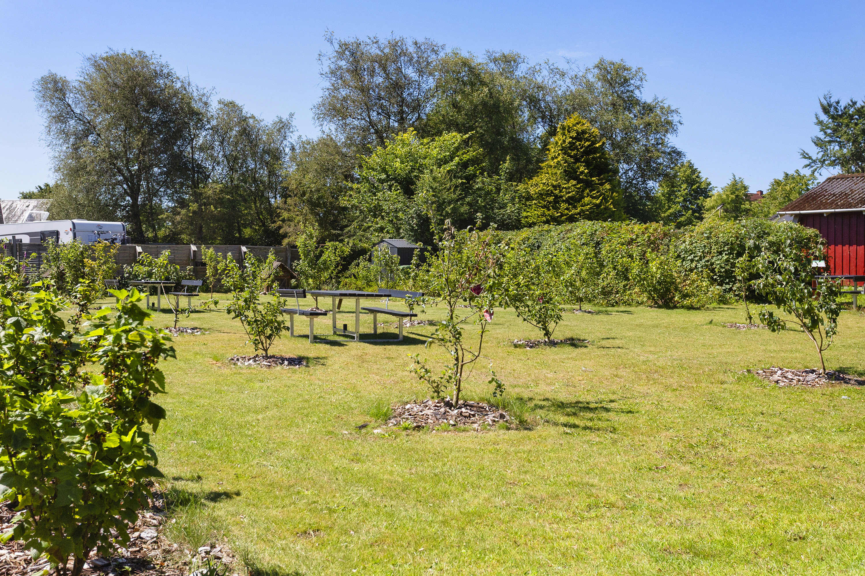 Fremhævet område - fælles frugthave billede i fuldskærmstilstand. Billede af Vandværksvej 1, 6622 Bække