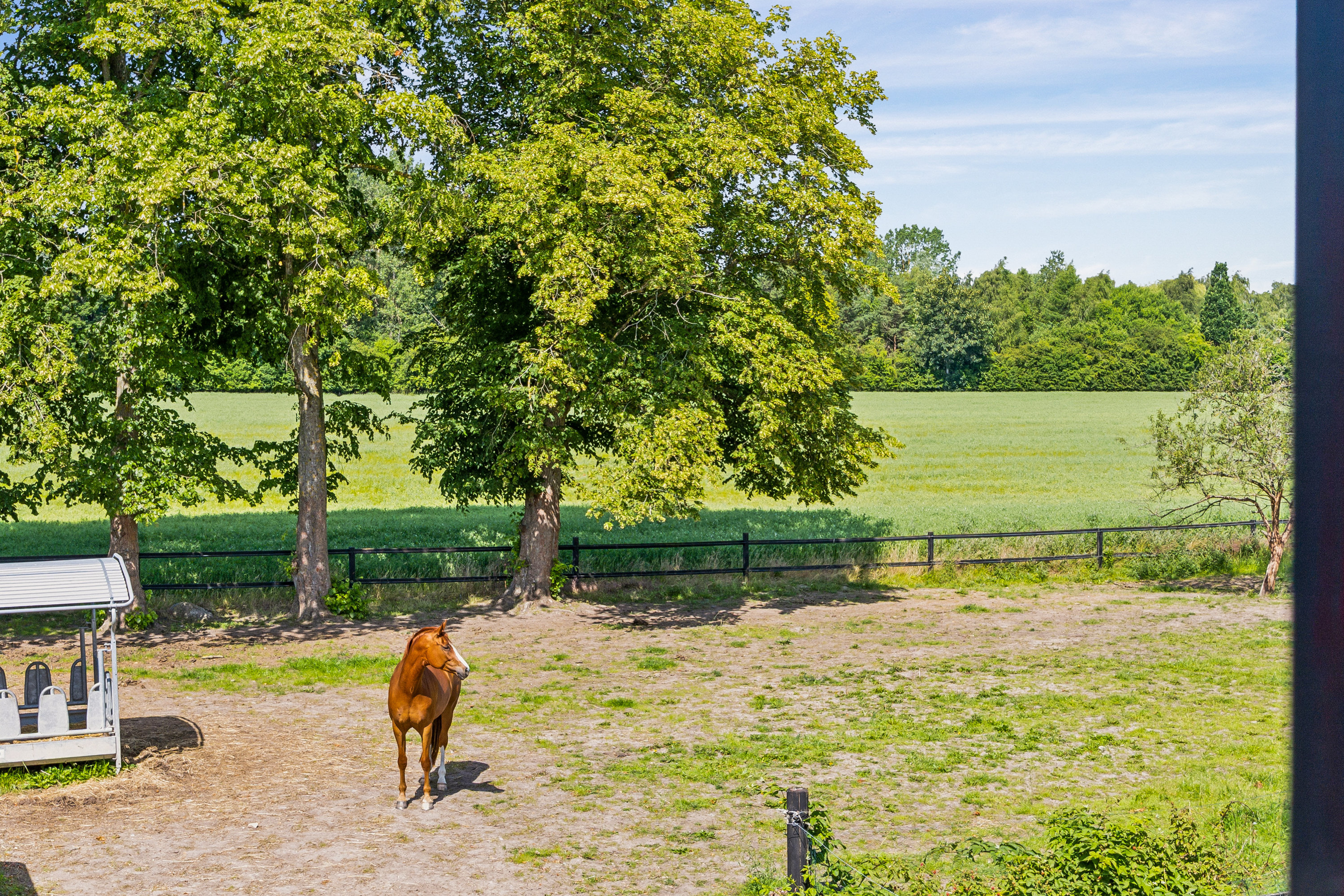 Fremhævet have billede i fuldskærmstilstand. Billede af Dyndetvej 9, 4140 Borup