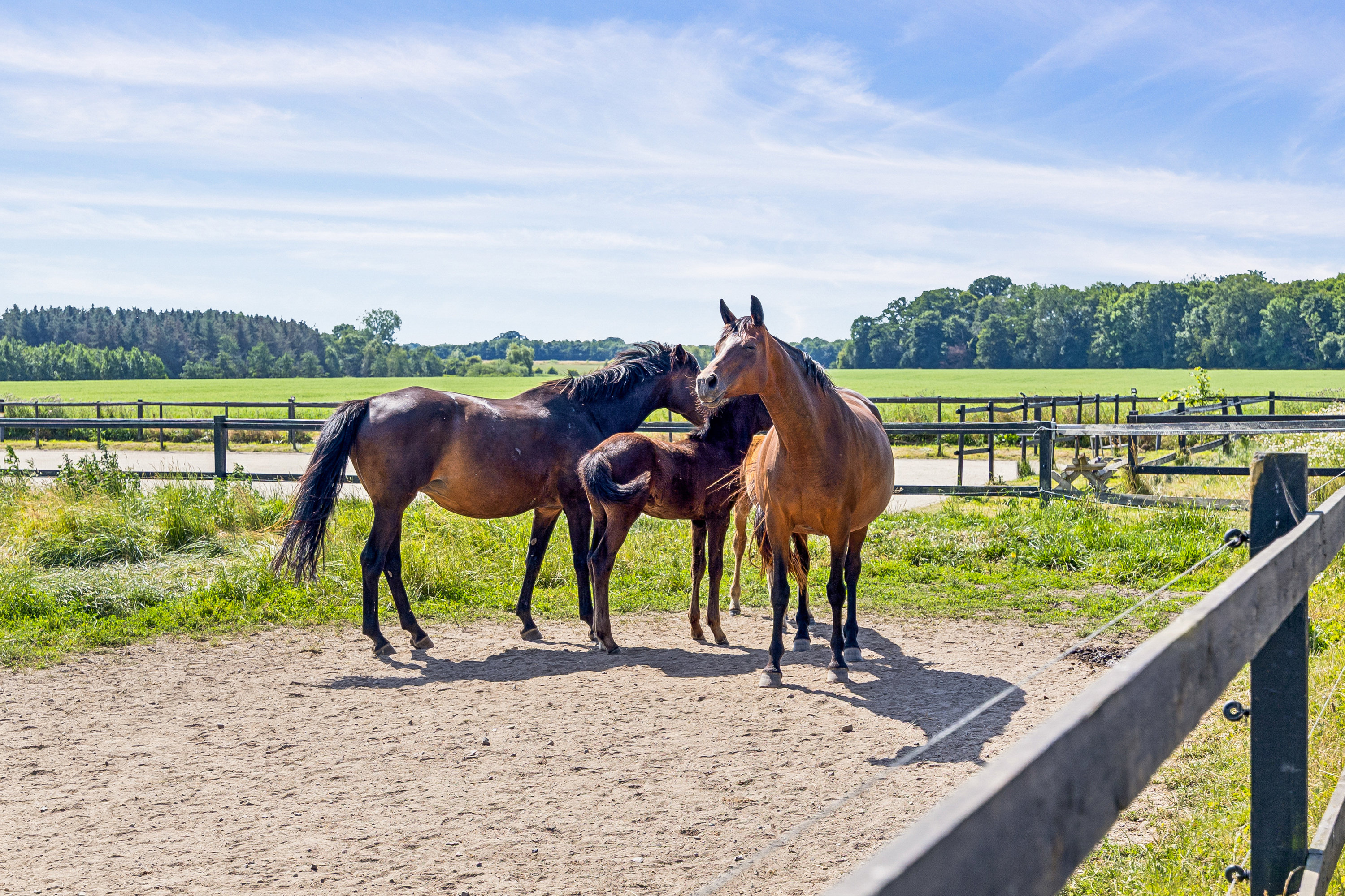 Fremhævet grund billede i fuldskærmstilstand. Billede af Dyndetvej 9, 4140 Borup