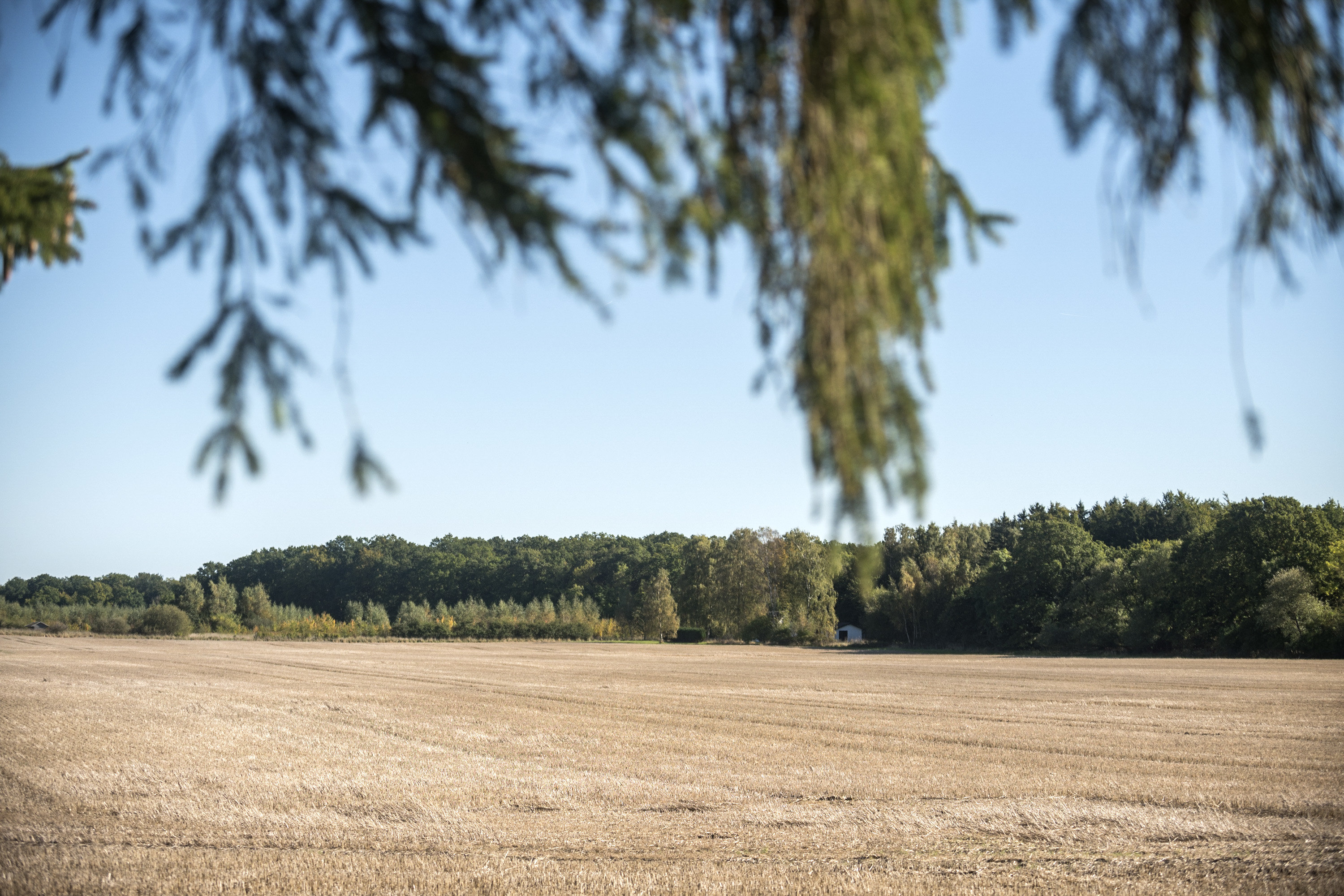 Fremhævet  billede i fuldskærmstilstand. Billede af Lergårdsvej 33, Aas, 4640 Faxe