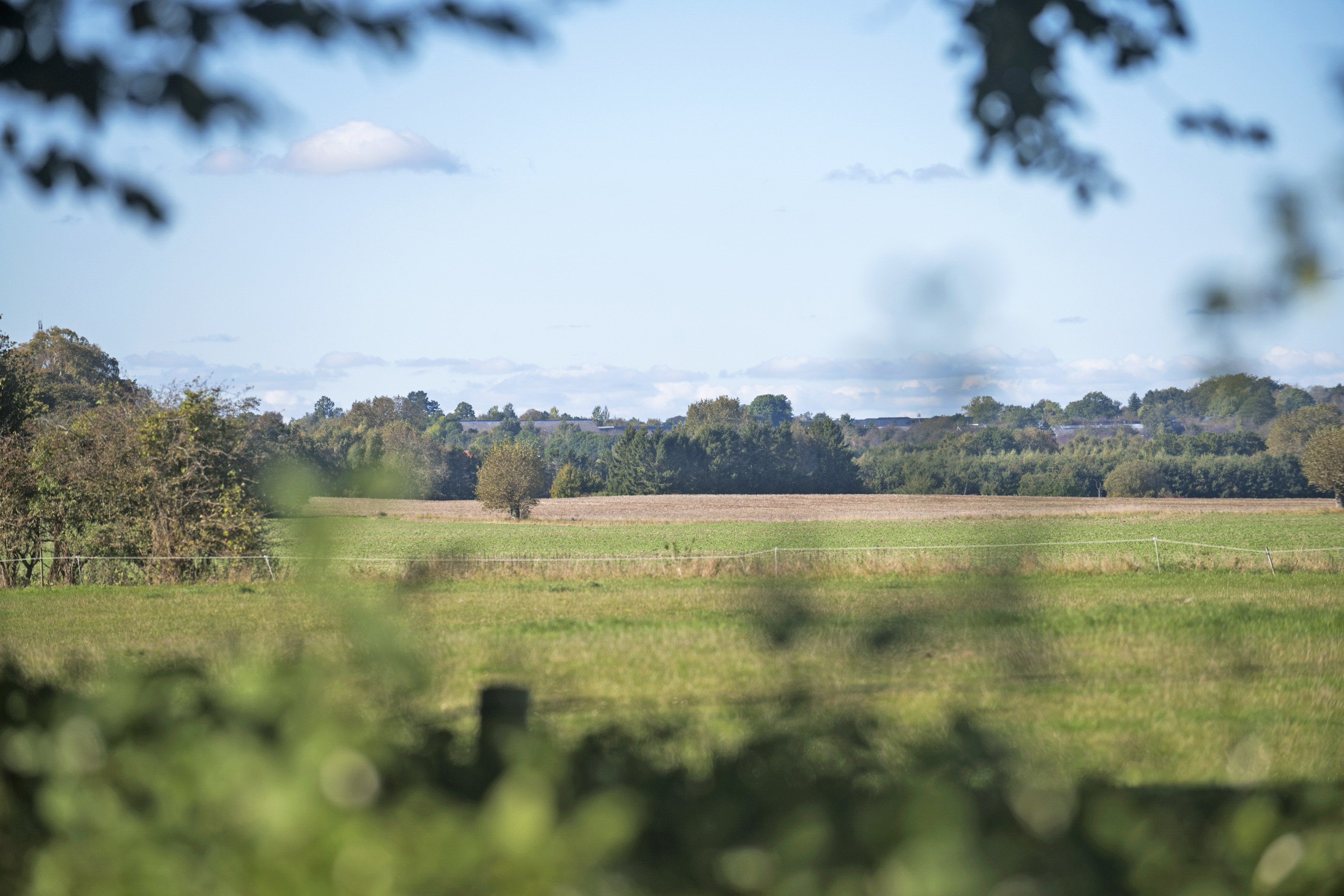 Fremhævet  billede i fuldskærmstilstand. Billede af Lergårdsvej 33, Aas, 4640 Faxe
