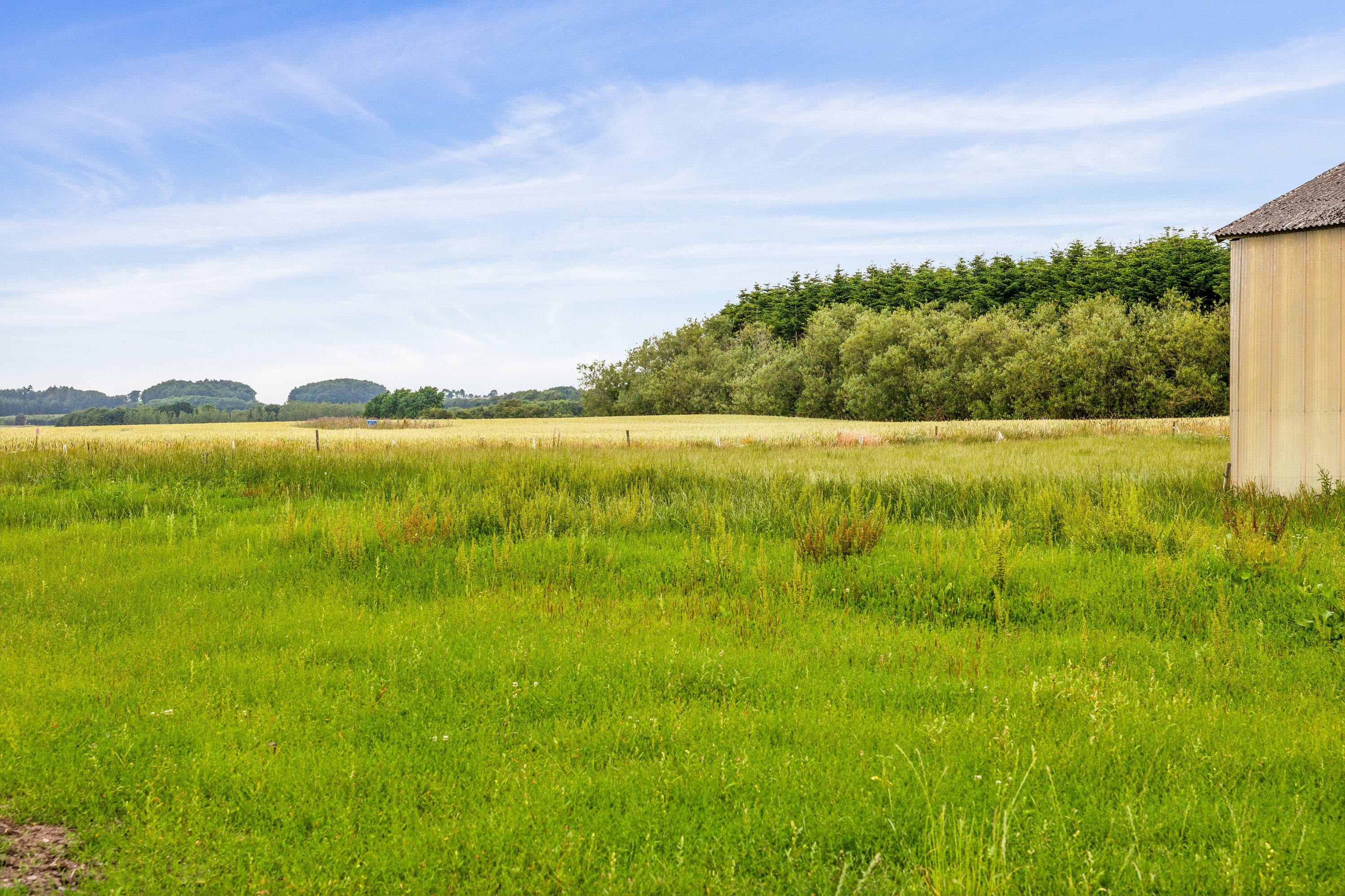 Fremhævet have billede i fuldskærmstilstand. Billede af Tingvej 53, Tostrup, 9632 Møldrup