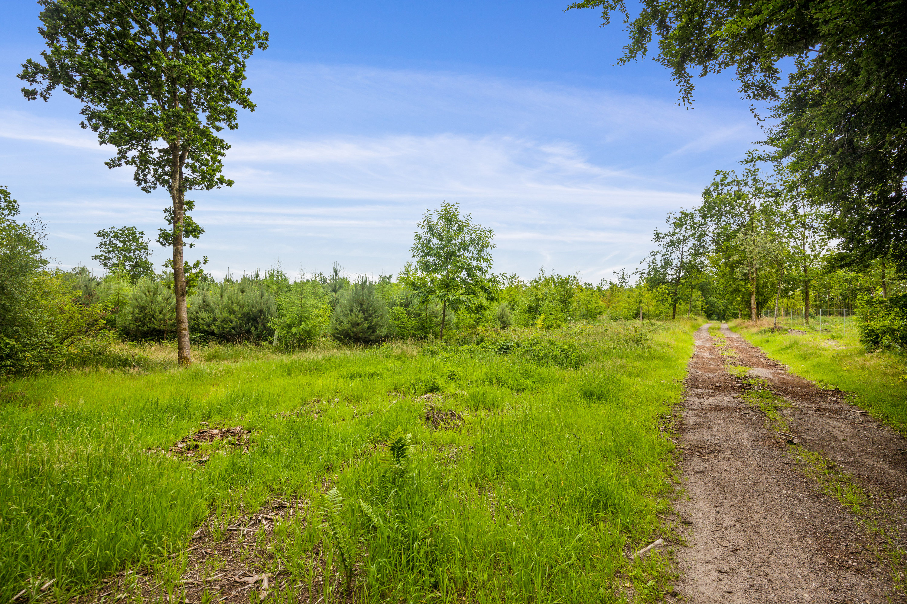 Fremhævet have billede i fuldskærmstilstand. Billede af Grindstedvej 43, Hammer Bakker, 9310 Vodskov