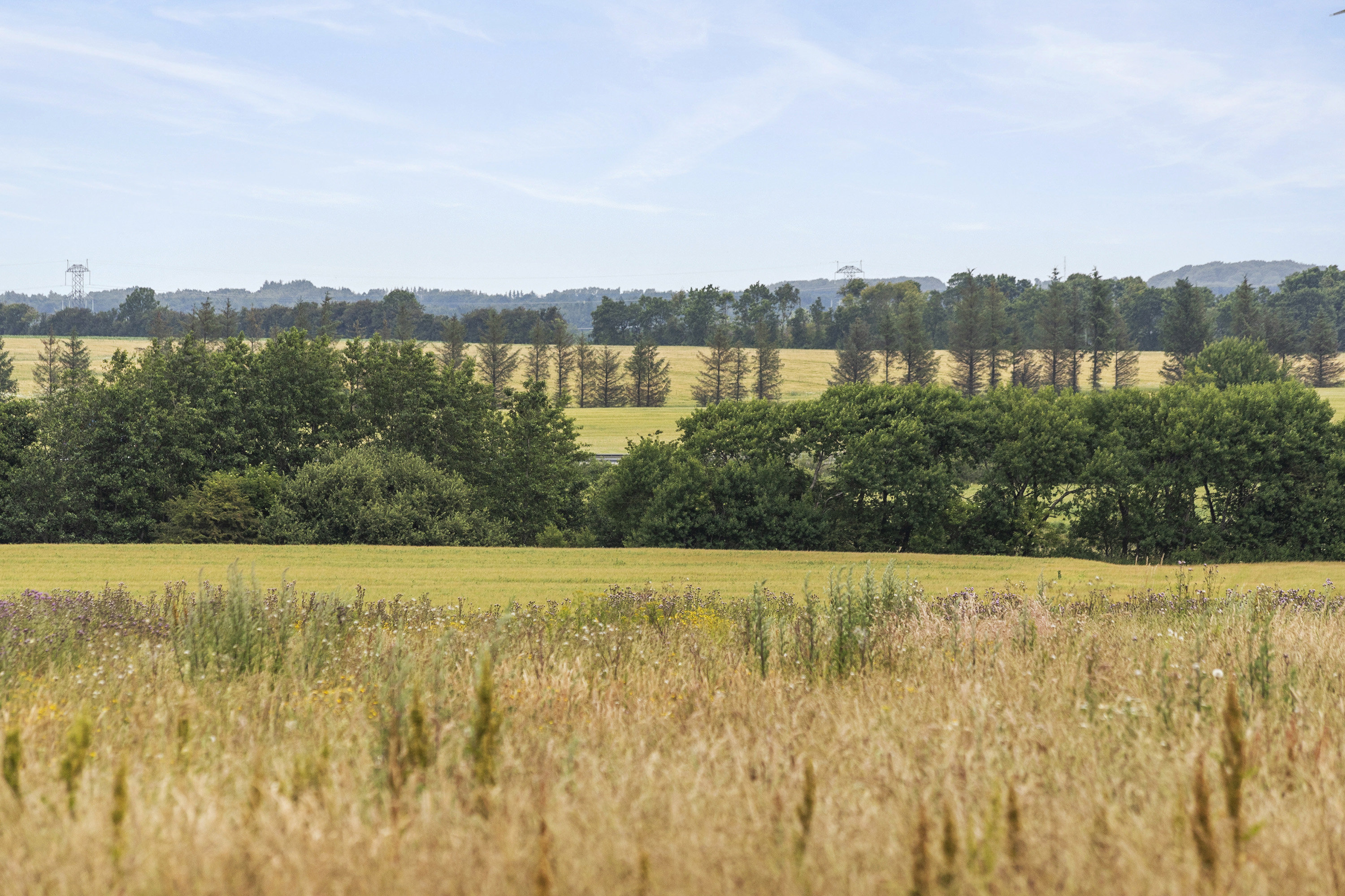 Fremhævet ejendommen billede i fuldskærmstilstand. Billede af Firringvej 1, Tuesbøl, 6650 Brørup