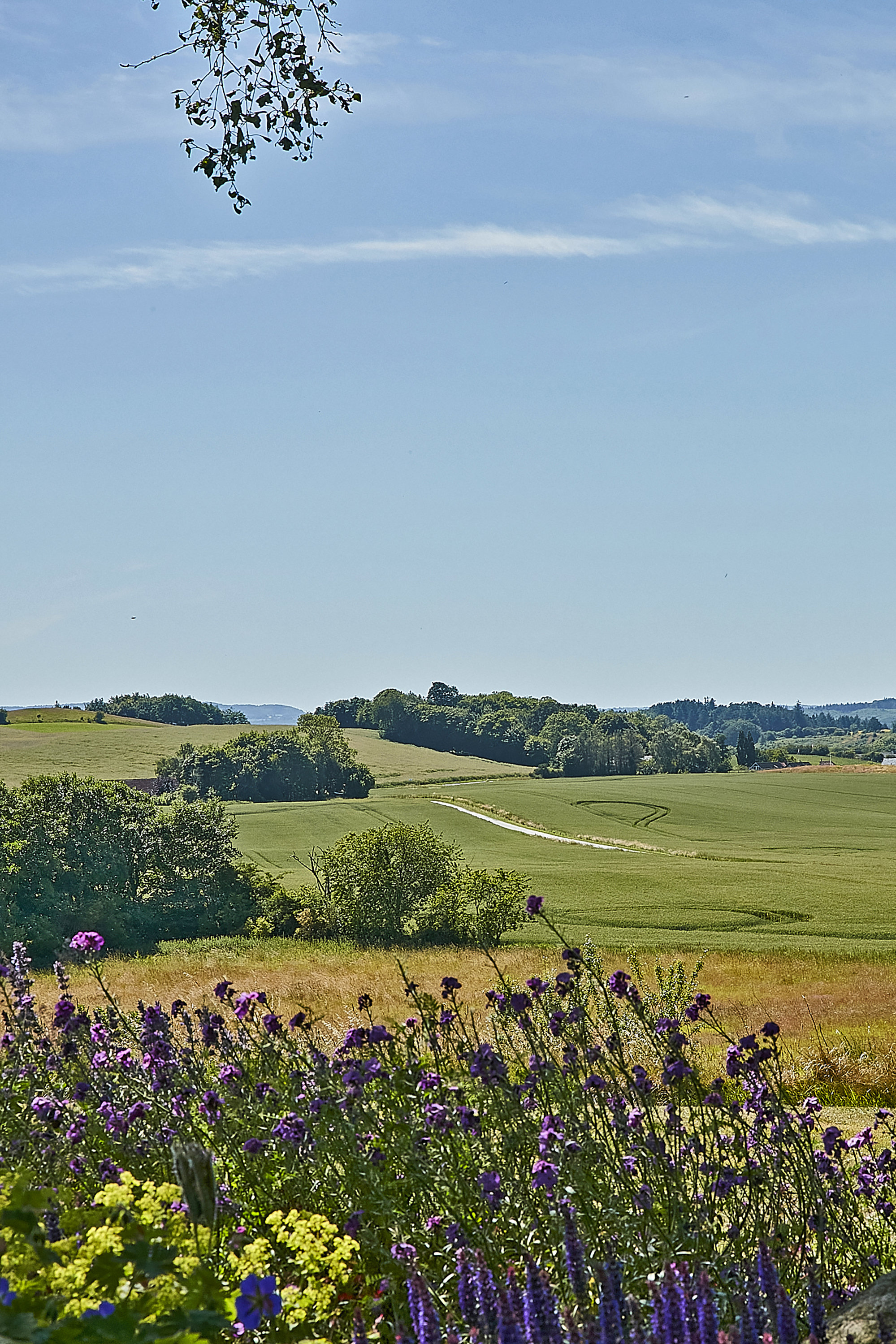 Fremhævet  billede i fuldskærmstilstand. Billede af Torupvej 49, Torup, 8350 Hundslund