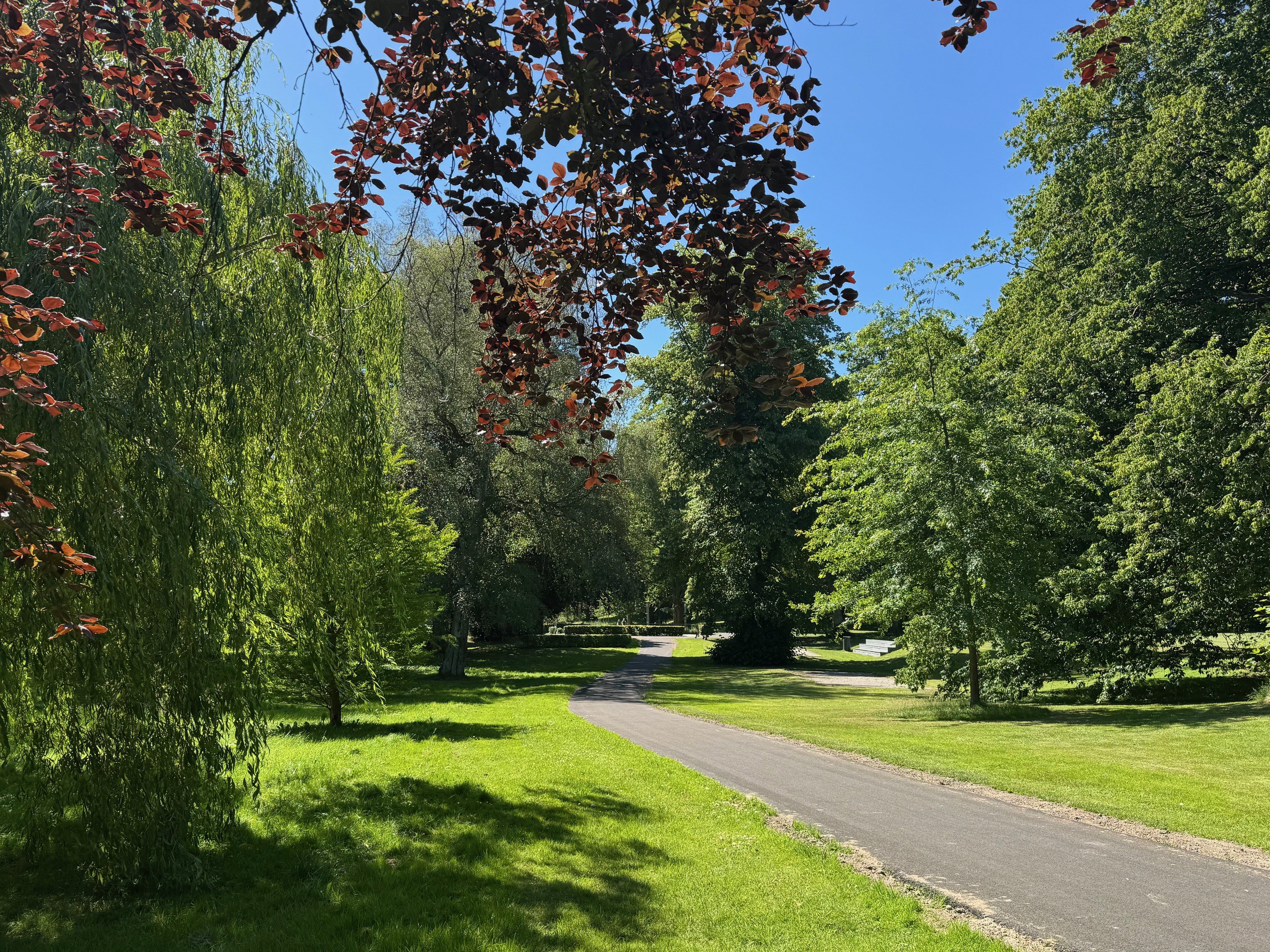 Fremhævet  billede i fuldskærmstilstand. Billede af Scandiasporet 3D, 8930 Randers NØ