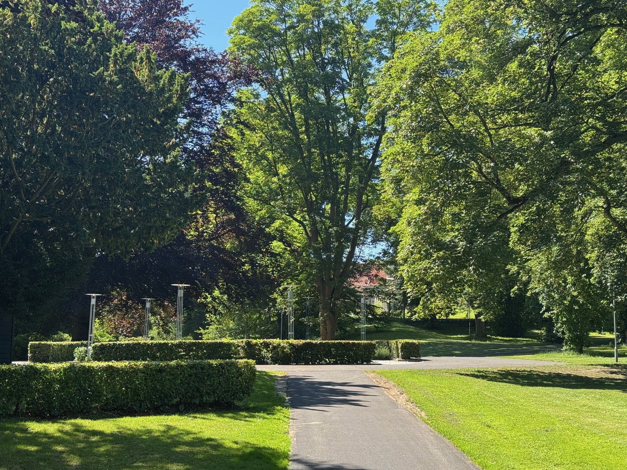 Fremhævet  billede i fuldskærmstilstand. Billede af Scandiasporet 3D, 8930 Randers NØ