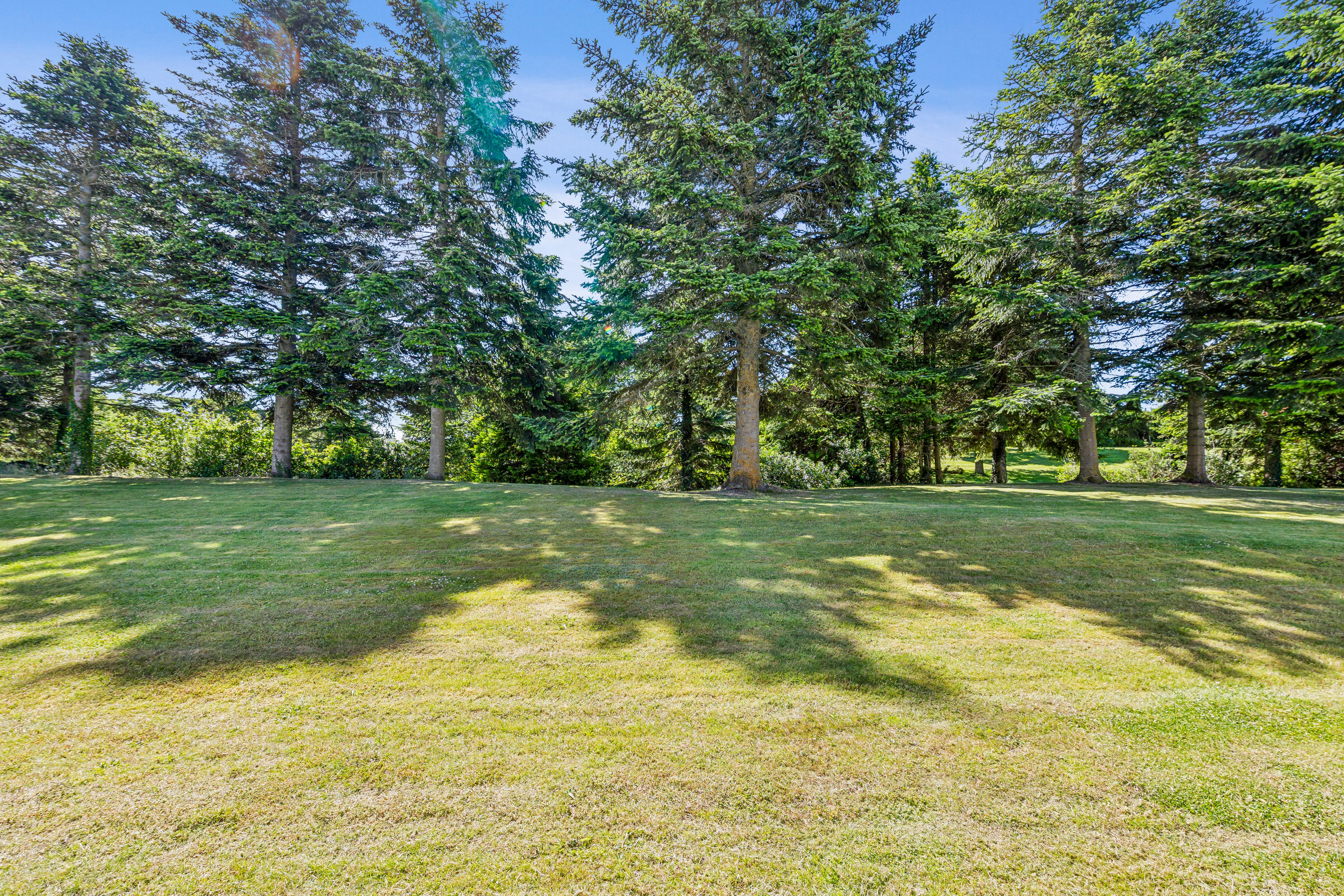 Fremhævet have billede i fuldskærmstilstand. Billede af Æblerosevej 13, st.. tv., 8500 Grenaa