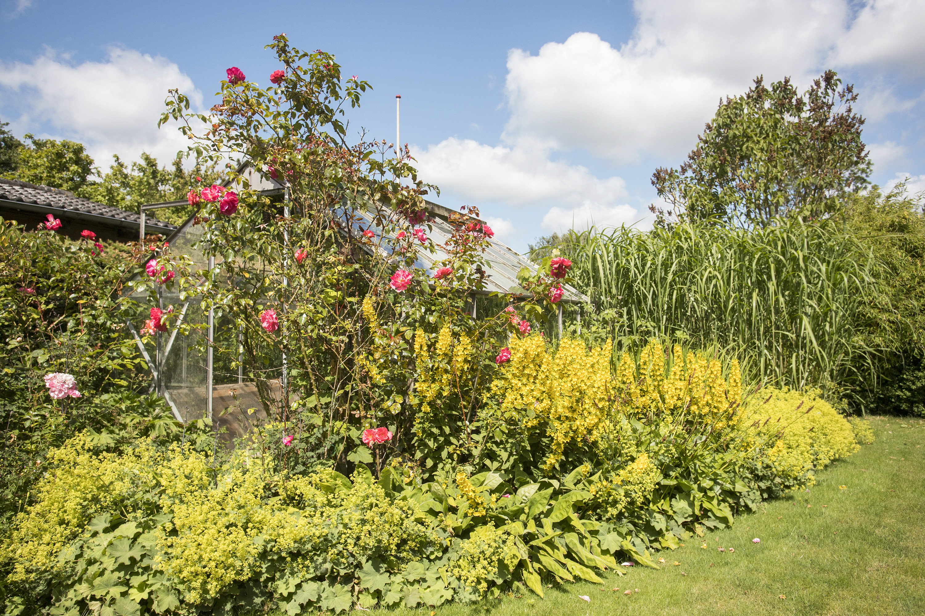 Fremhævet område billede i fuldskærmstilstand. Billede af Søndervangvej 10, Askov, 6600 Vejen