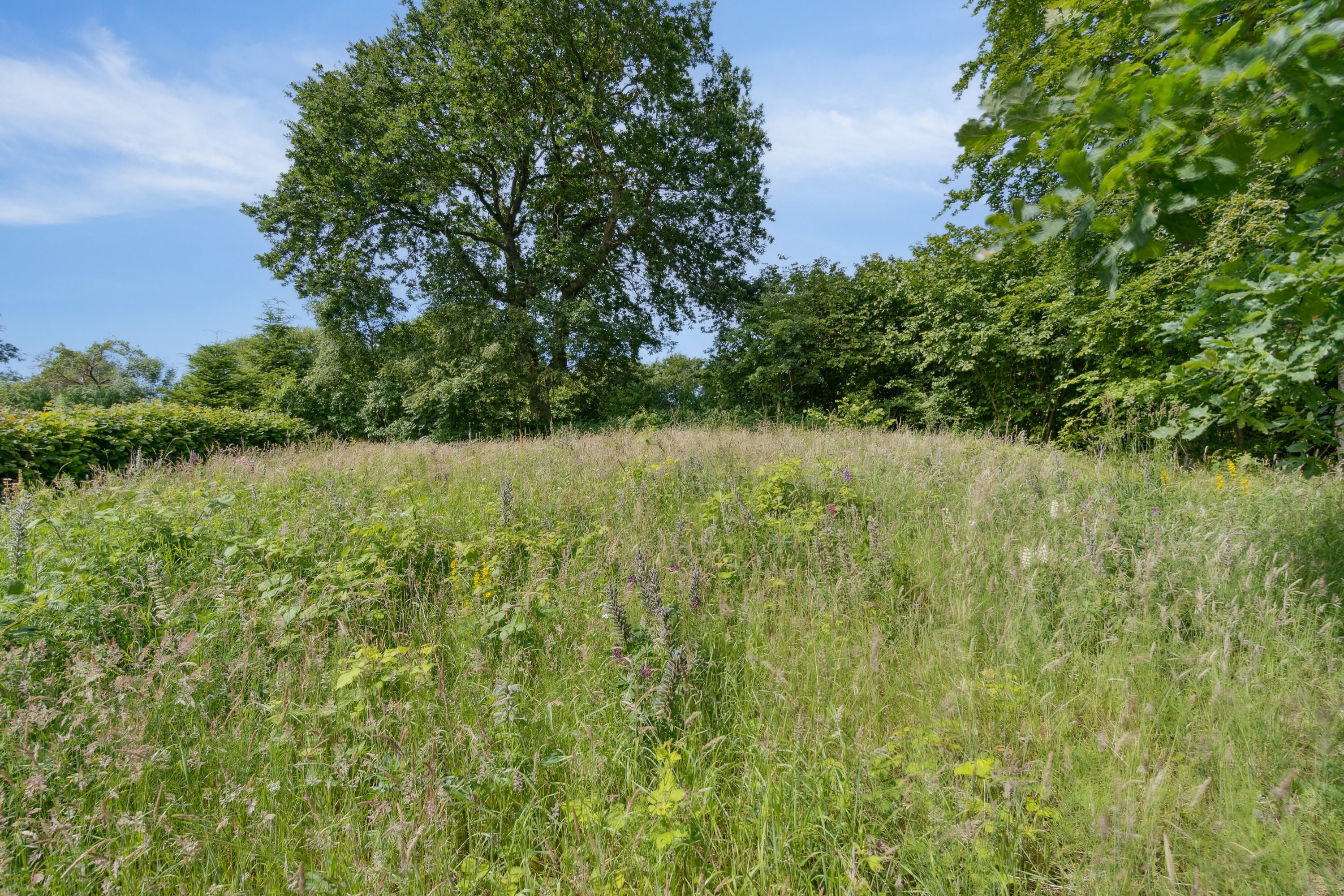 Miniaturebillede 1: . Billede af Ribe Landevej 98, 6100 Haderslev