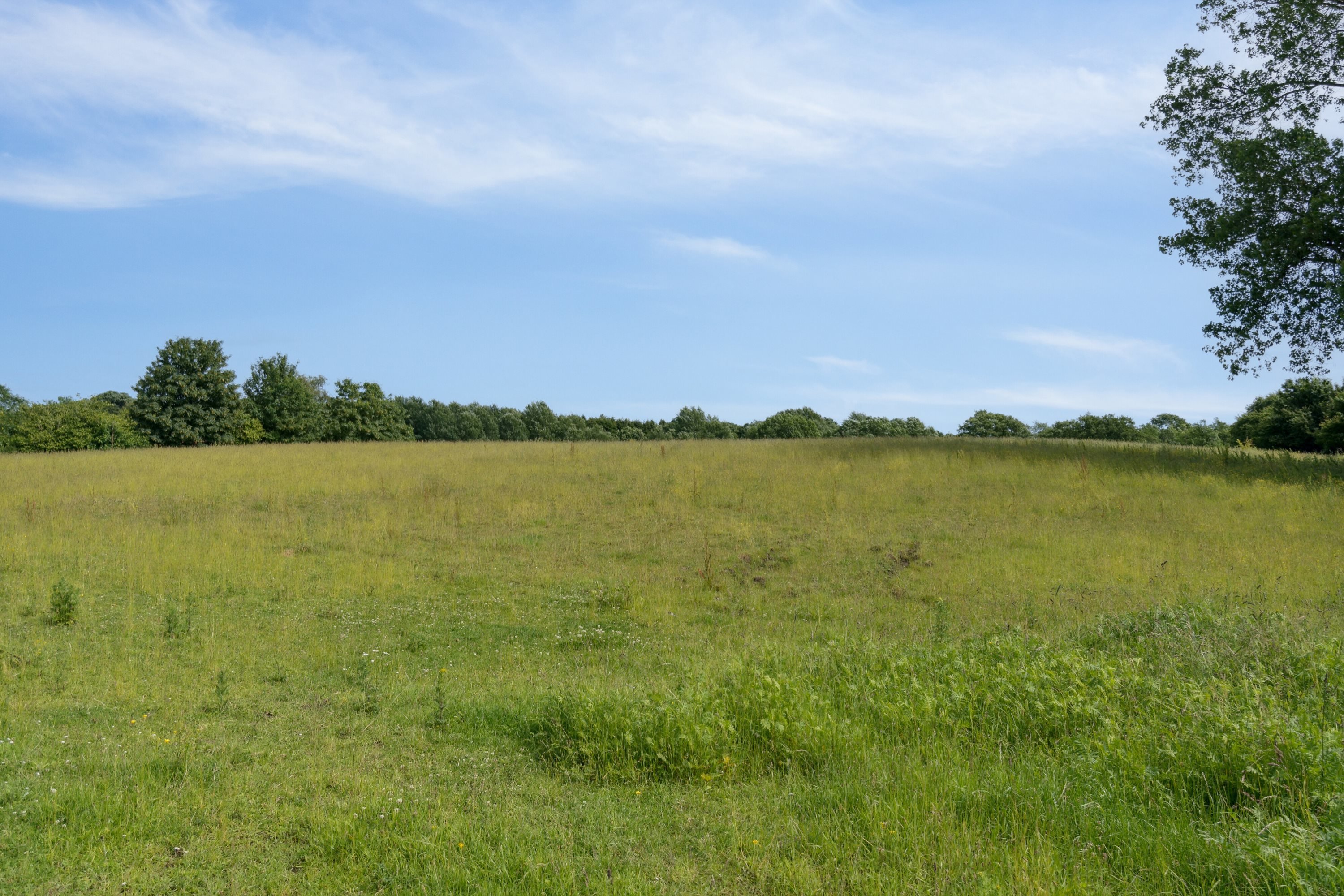 Fremhævet  billede i fuldskærmstilstand. Billede af Ribe Landevej 98, 6100 Haderslev