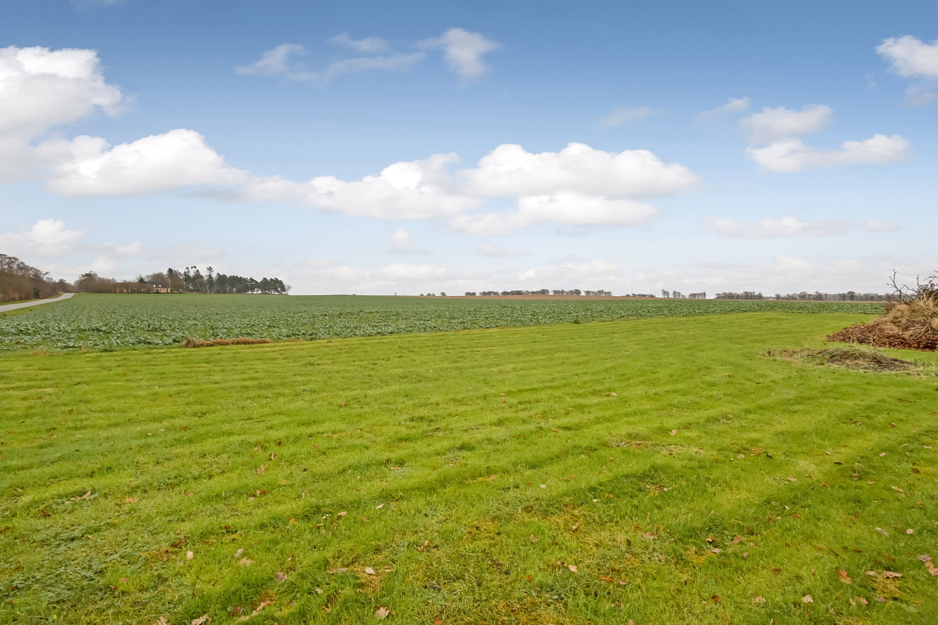 Fremhævet have billede i fuldskærmstilstand. Billede af Hevringholmvej 6, Vivild, 8961 Allingåbro