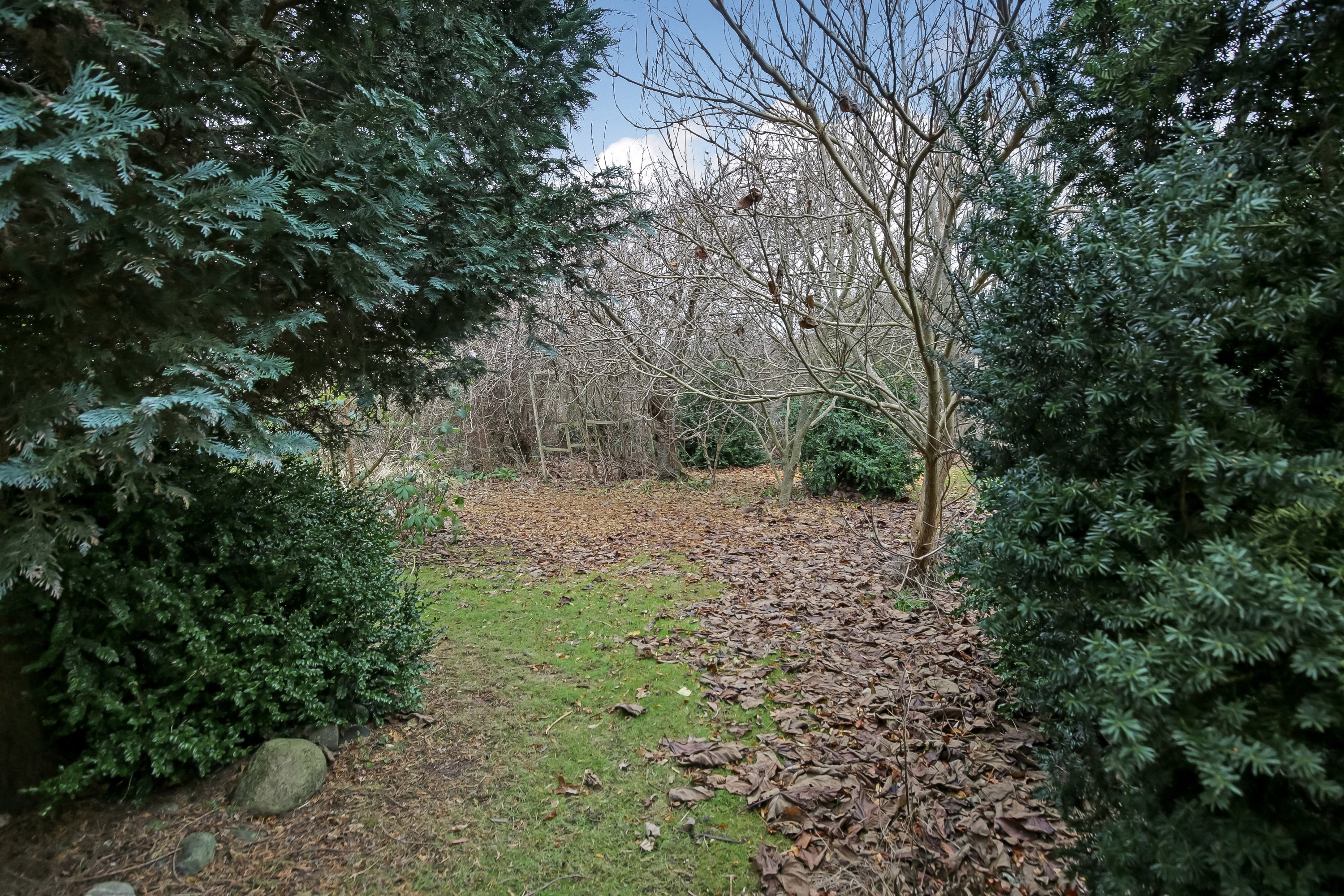 Fremhævet have billede i fuldskærmstilstand. Billede af Hevringholmvej 6, Vivild, 8961 Allingåbro