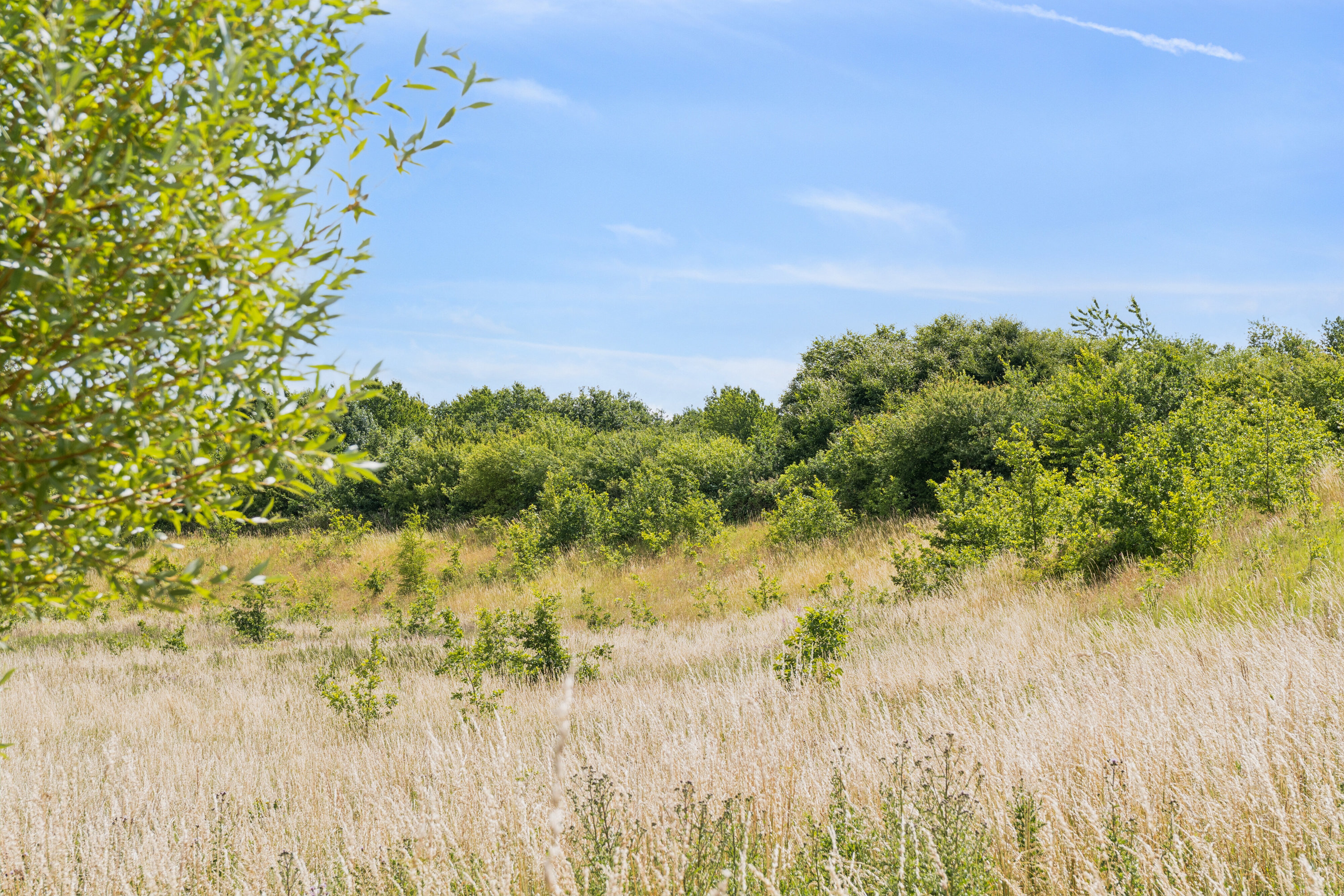 Fremhævet udendørs billede i fuldskærmstilstand. Billede af Bakkegårds Allé 71, 5550 Langeskov