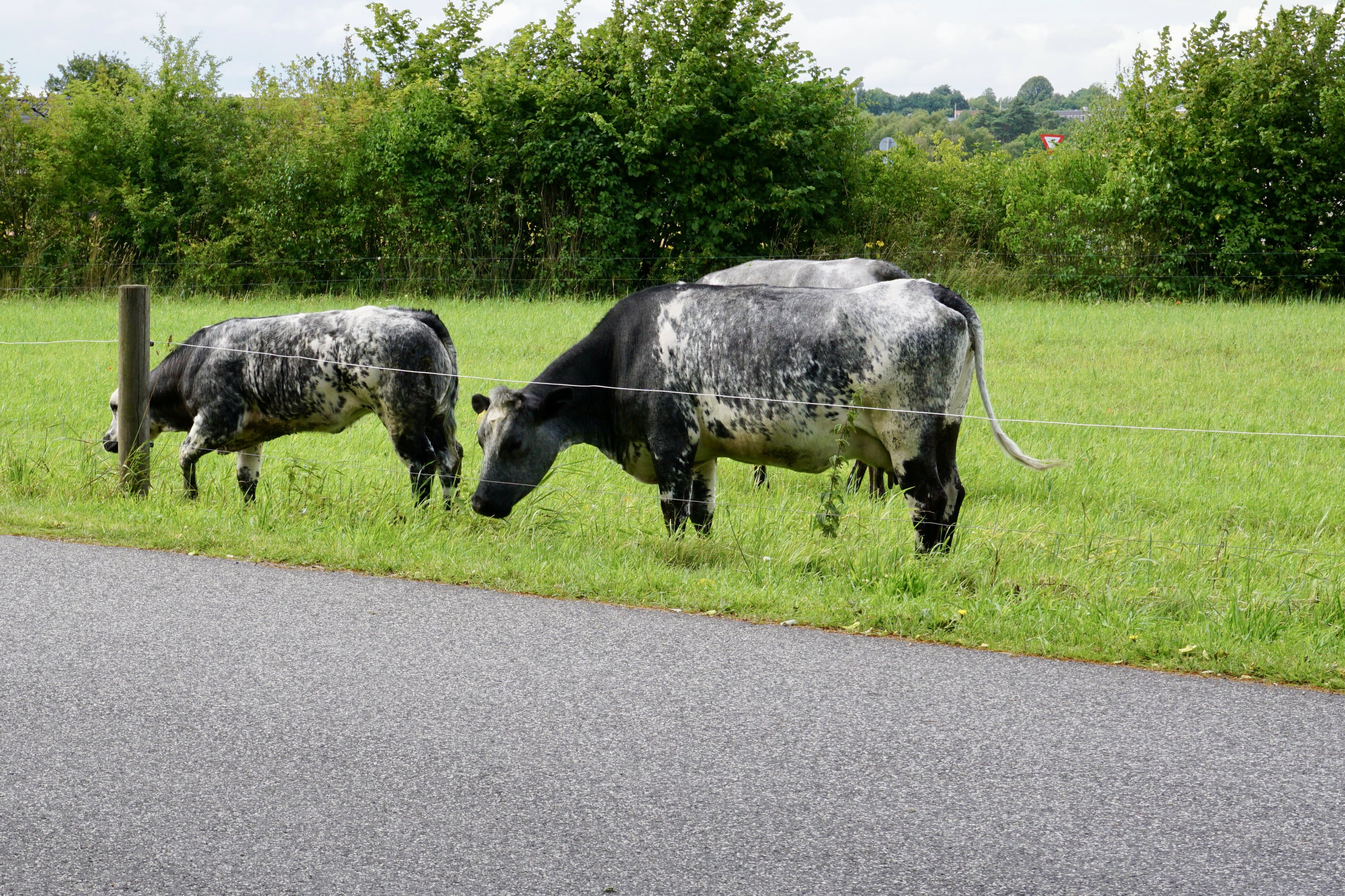 Fremhævet  billede i fuldskærmstilstand. Billede af Munkdrupvej 10, 8960 Randers SØ