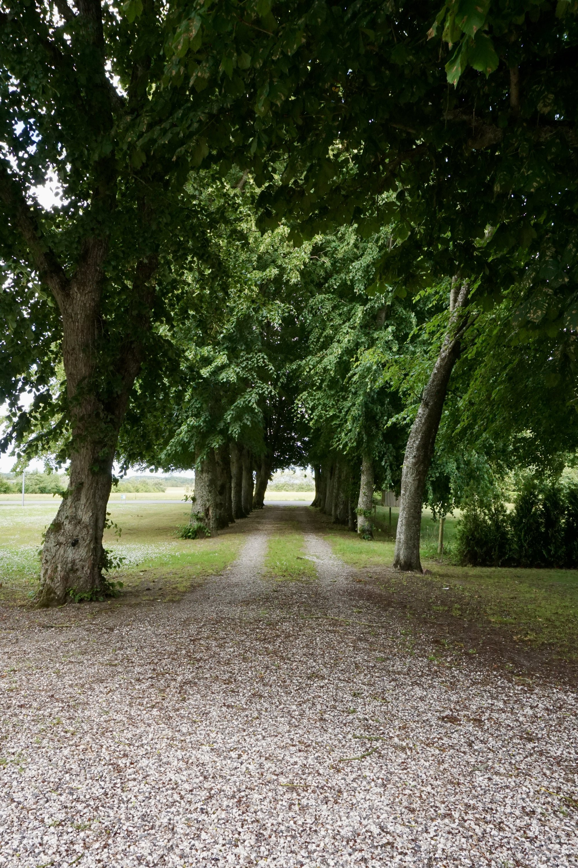 Fremhævet  billede i fuldskærmstilstand. Billede af Munkdrupvej 10, 8960 Randers SØ
