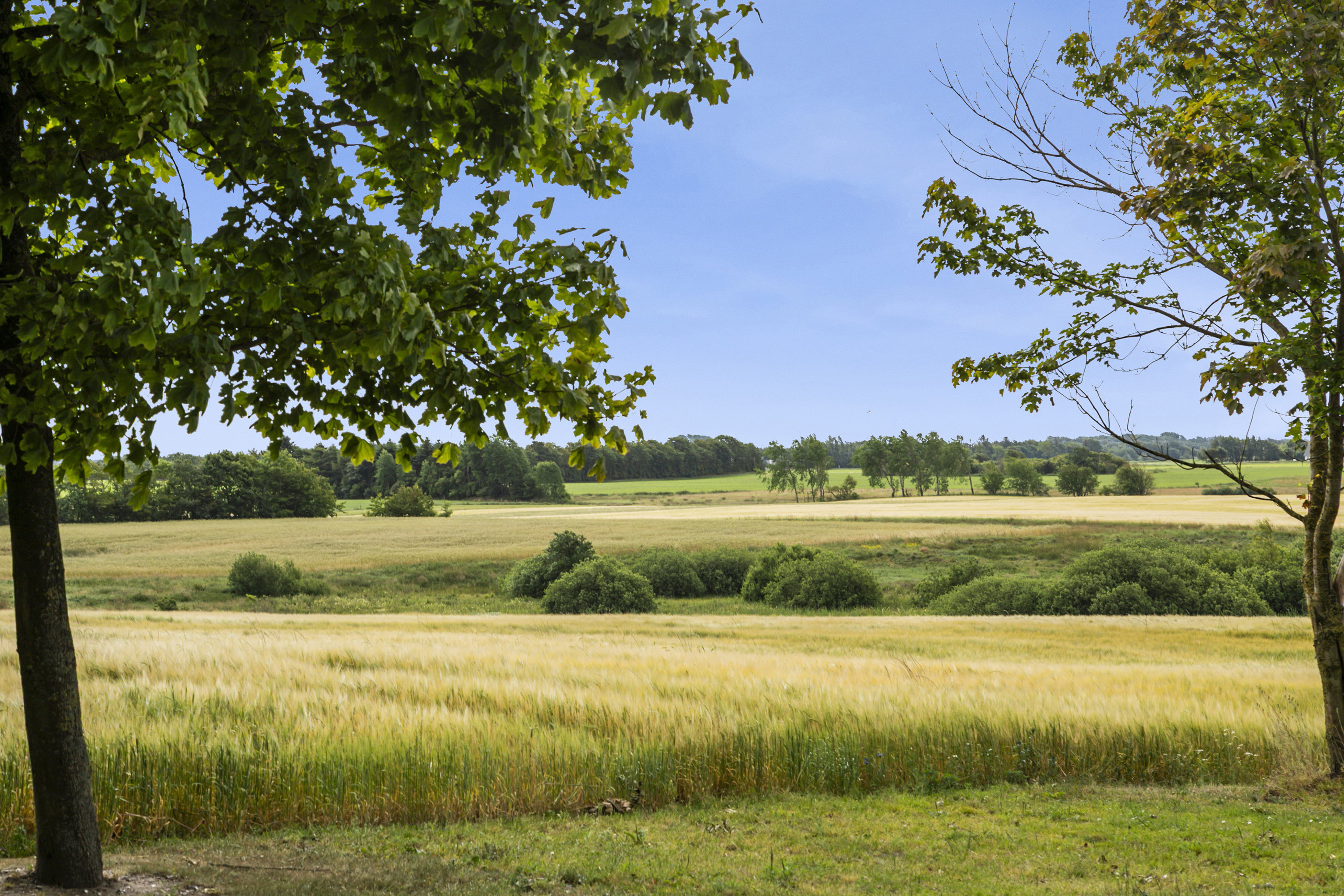 Fremhævet udsigt billede i fuldskærmstilstand. Billede af Kirkevangen 71, Østerbølle, 9620 Aalestrup