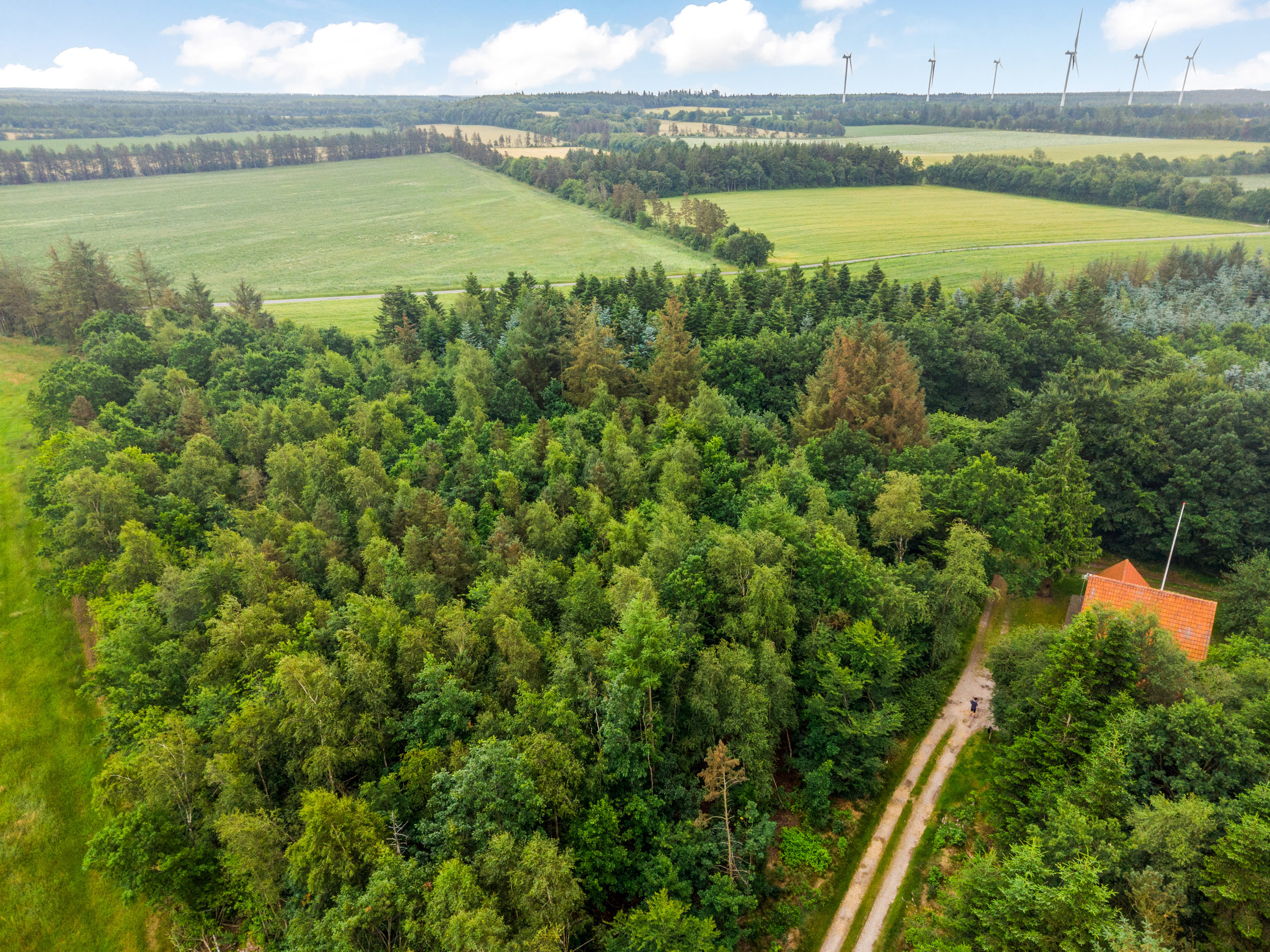 Fremhævet luftfoto billede i fuldskærmstilstand. Billede af Nørholmvej 7, Hoven, 6880 Tarm