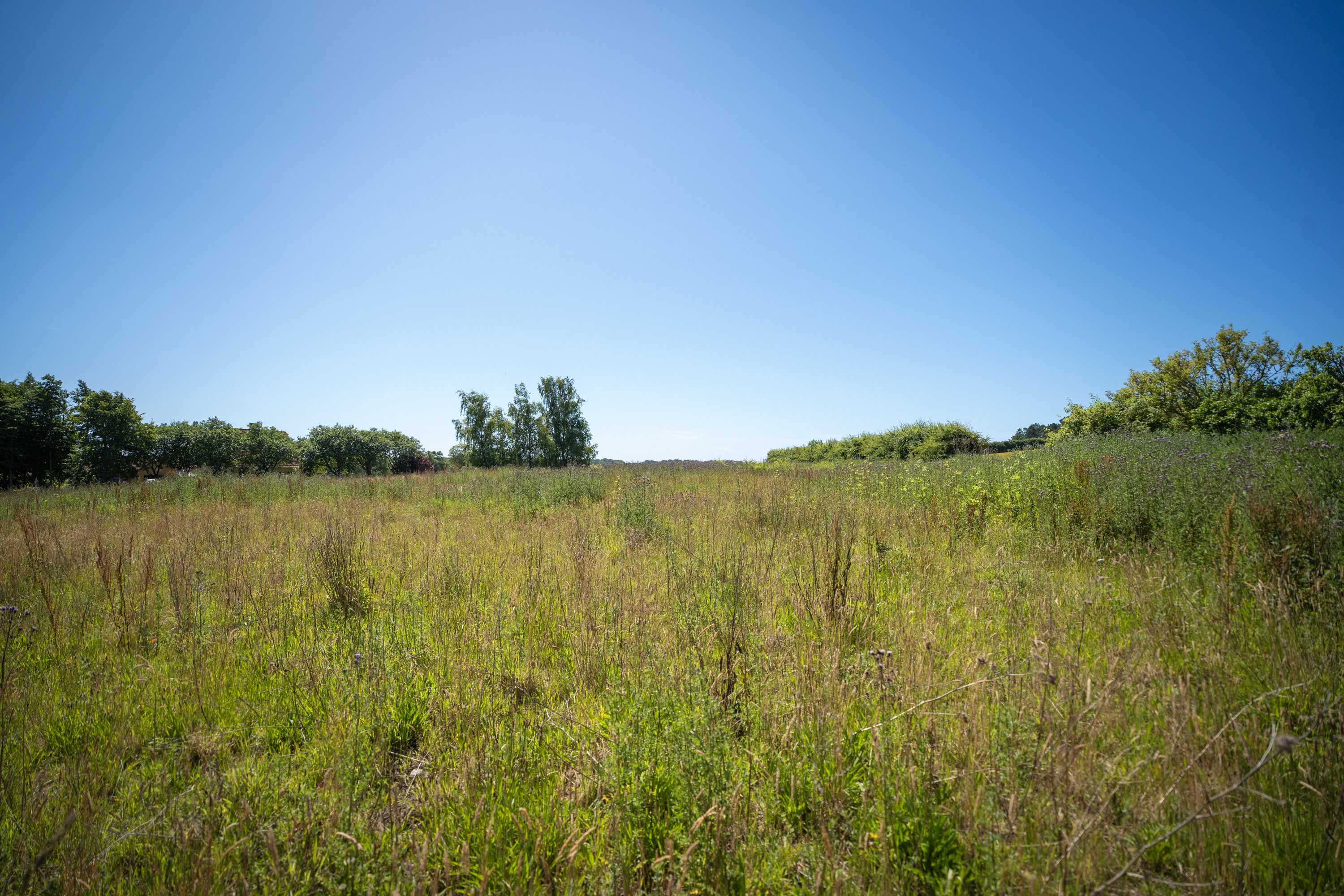 Fremhævet  billede i fuldskærmstilstand. Billede af Baunevej 8, Sandager, 5610 Assens
