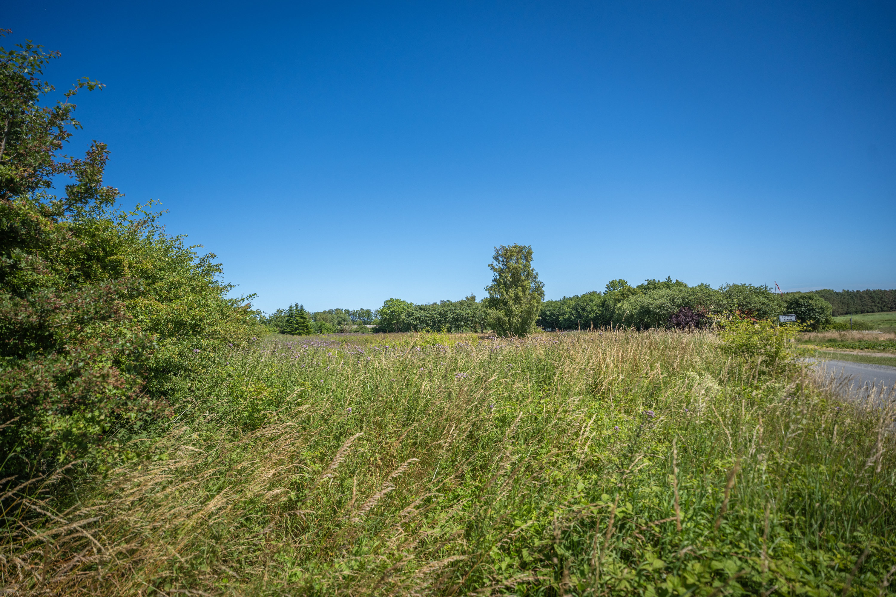 Fremhævet  billede i fuldskærmstilstand. Billede af Baunevej 8, Sandager, 5610 Assens