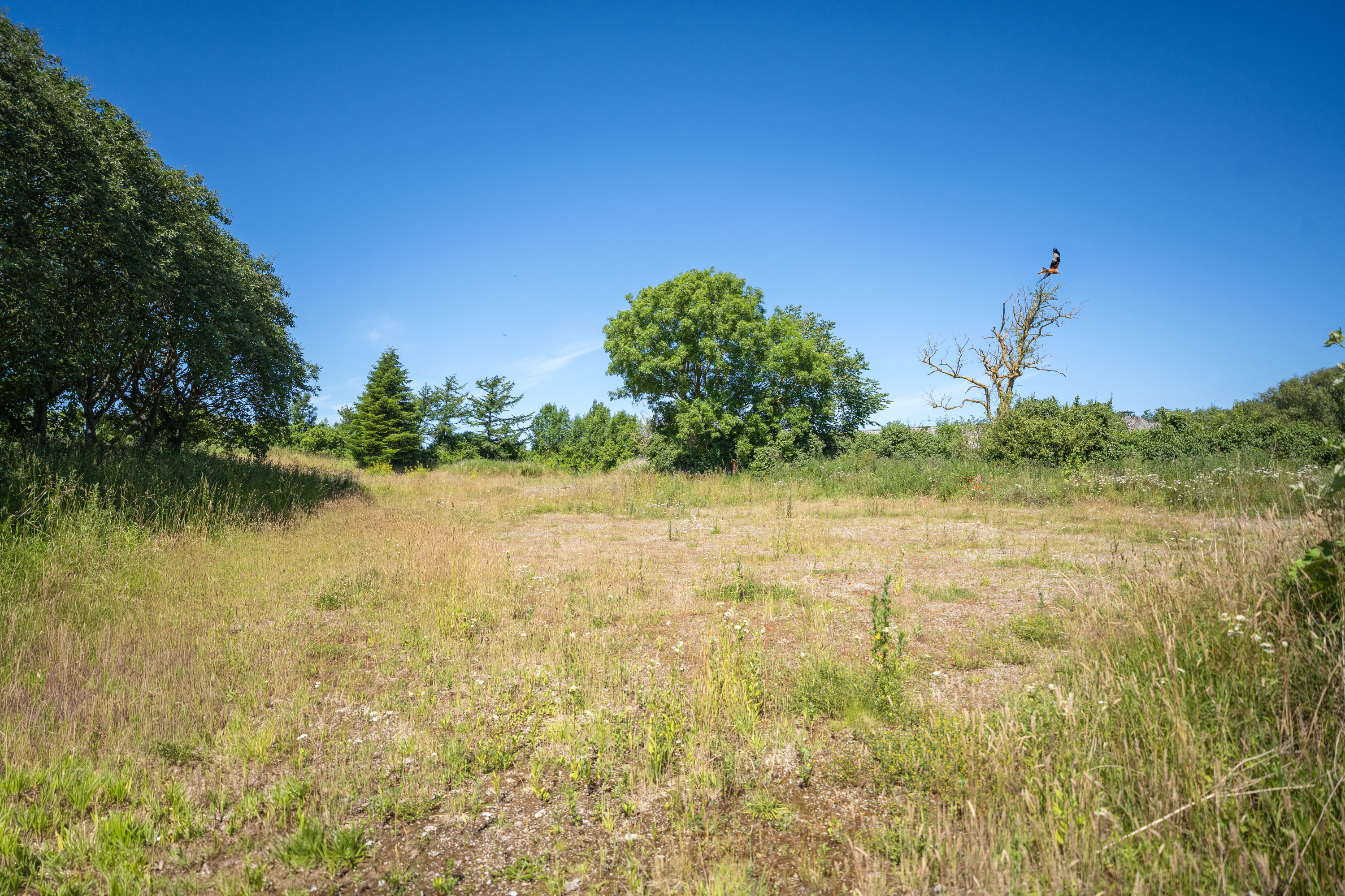 Miniaturebillede 2: . Billede af Baunevej 8, Sandager, 5610 Assens