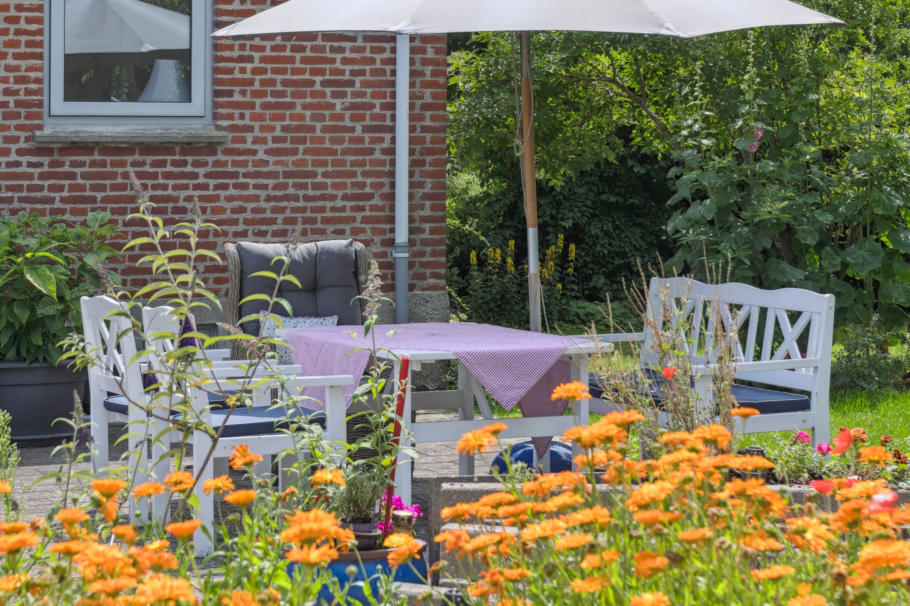 Fremhævet terrasse billede i fuldskærmstilstand. Billede af Halsebyvej 45, Svenstrup, 4220 Korsør