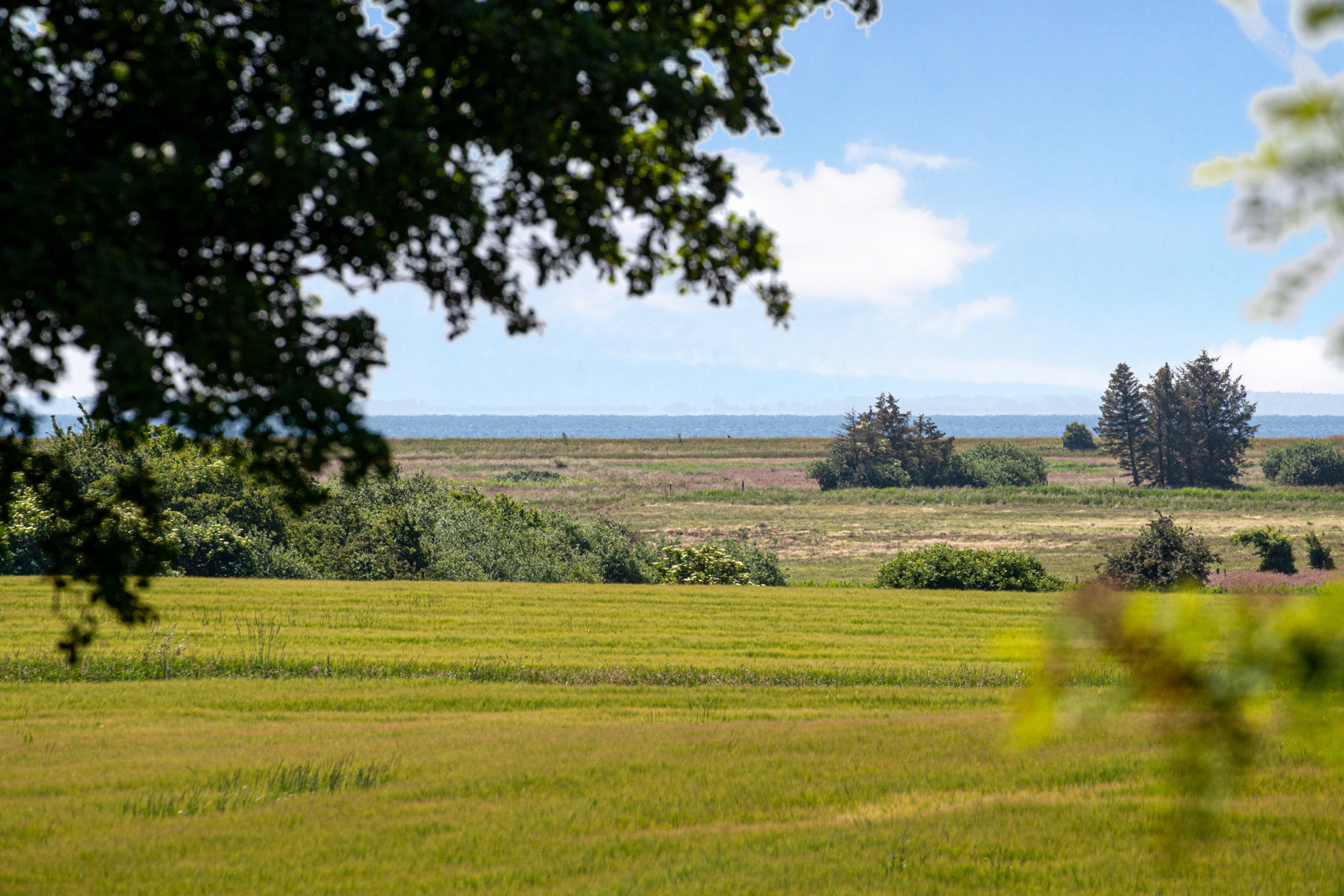 Fremhævet område billede i fuldskærmstilstand. Billede af Søen 1 & 3, Lysabildskov, 6470 Sydals