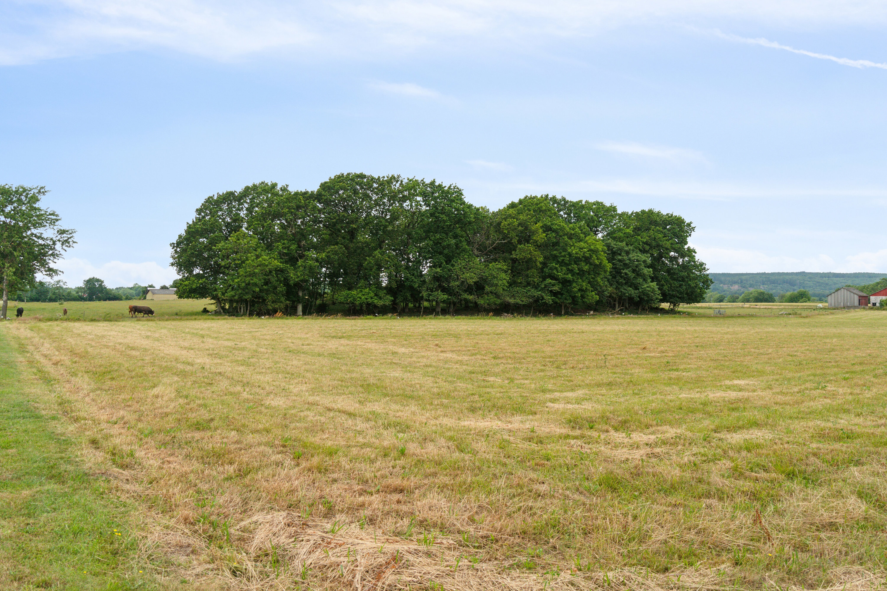 Fremhævet have billede i fuldskærmstilstand. Billede af Skørrebrovejen 5, Vestermarie, 3720 Aakirkeby