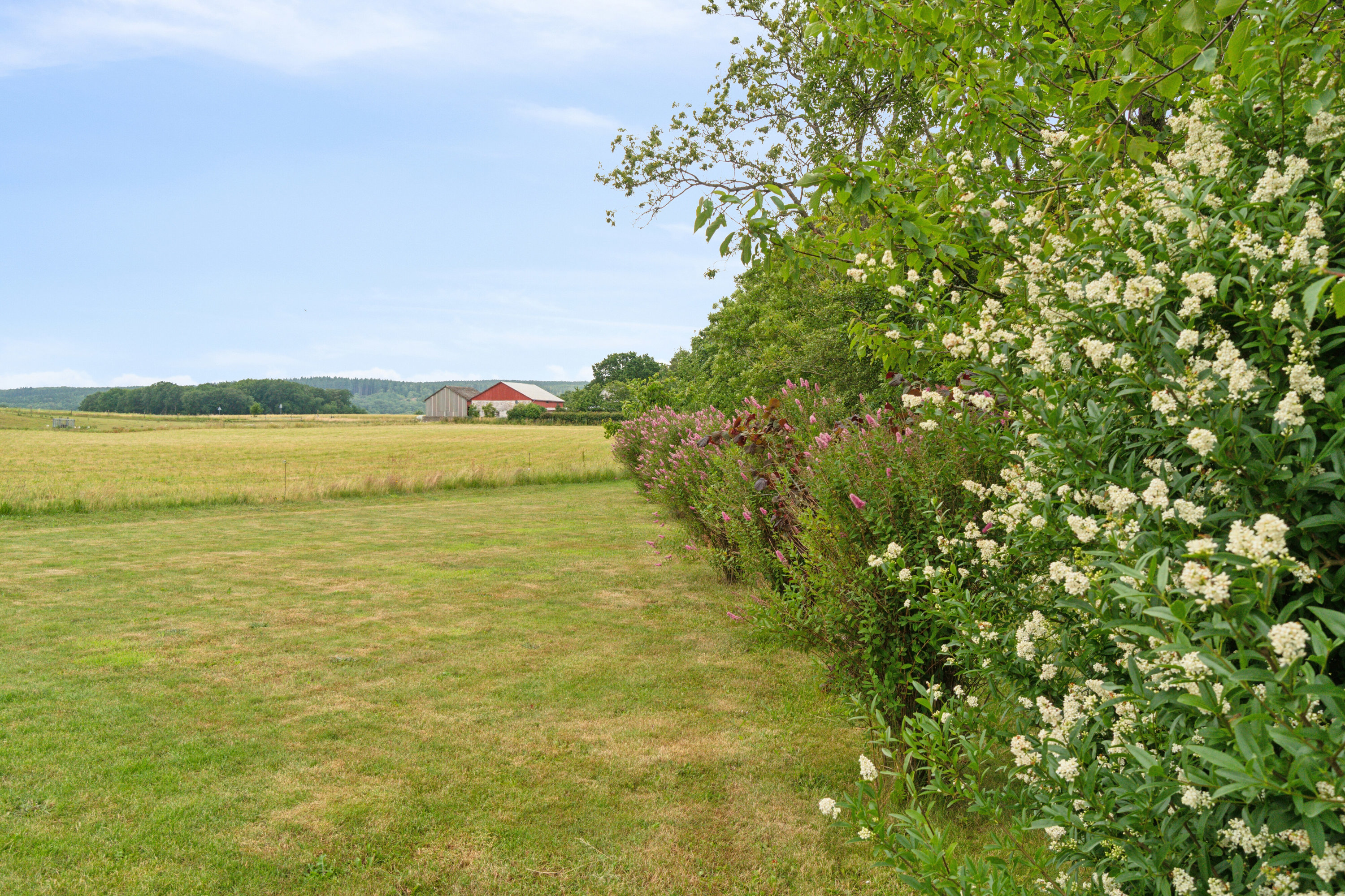 Fremhævet have billede i fuldskærmstilstand. Billede af Skørrebrovejen 5, Vestermarie, 3720 Aakirkeby