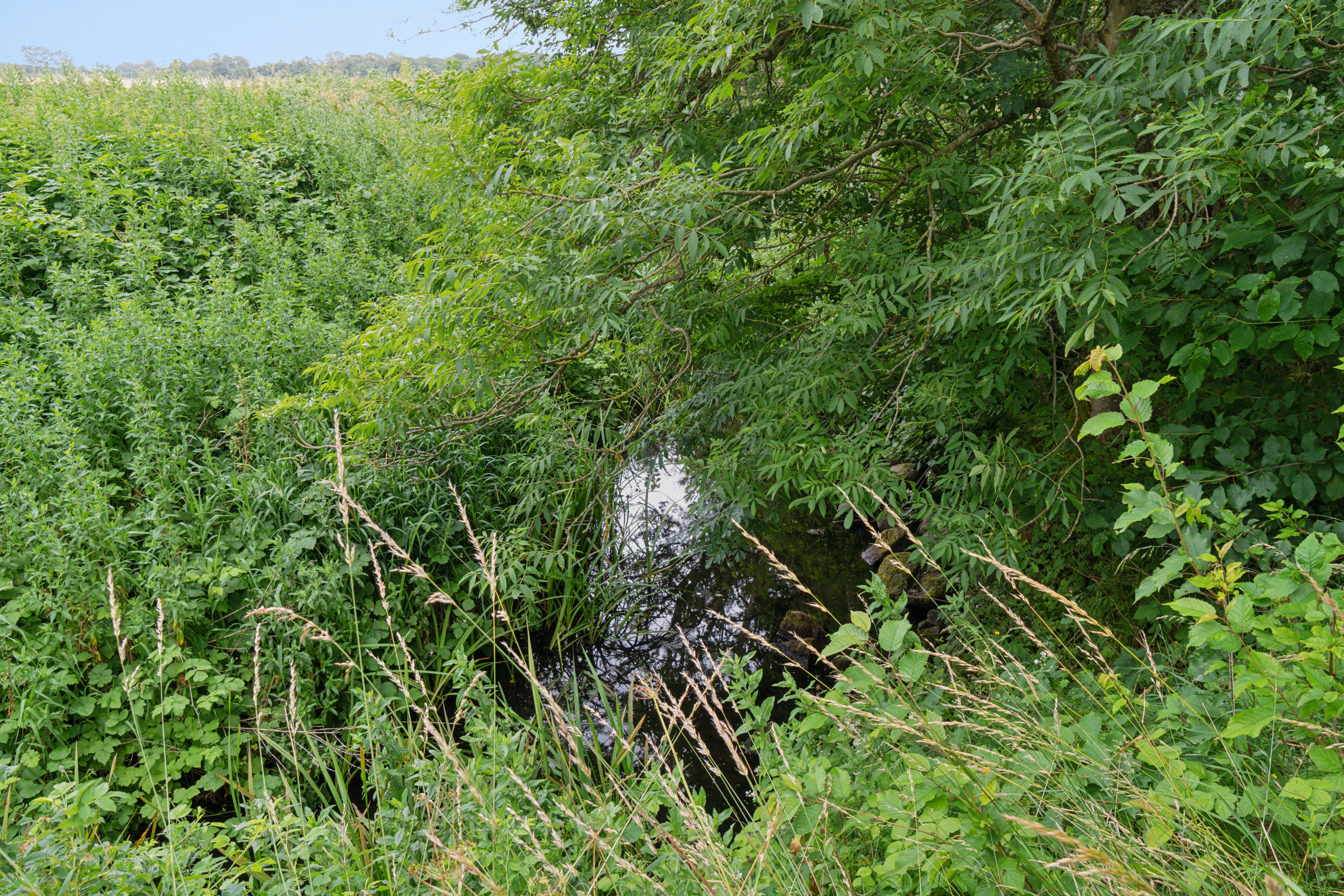Fremhævet udendørs billede i fuldskærmstilstand. Billede af Skørrebrovejen 5, Vestermarie, 3720 Aakirkeby