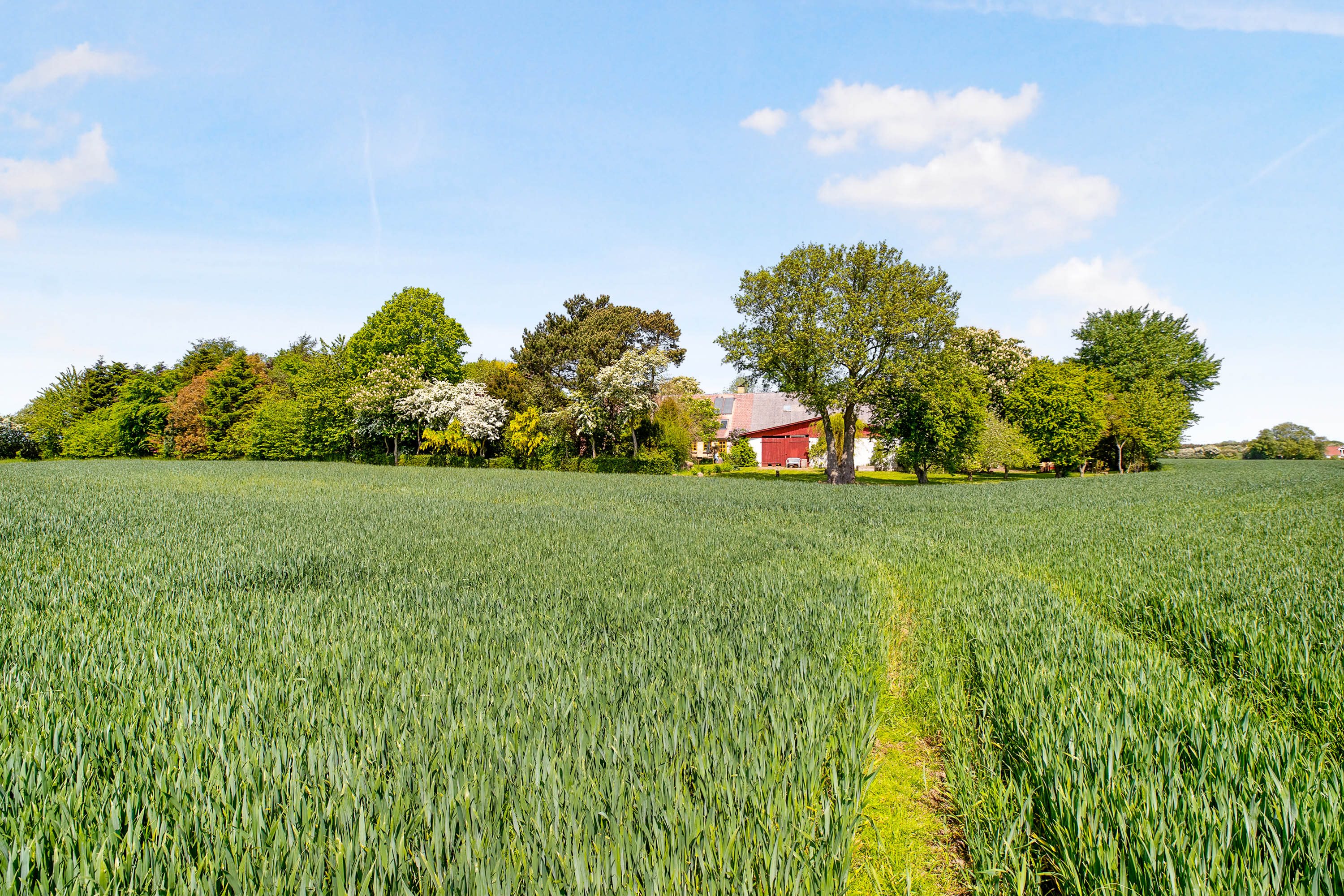 Fremhævet omgivelser billede i fuldskærmstilstand. Billede af Søen 1 & 3, Lysabildskov, 6470 Sydals