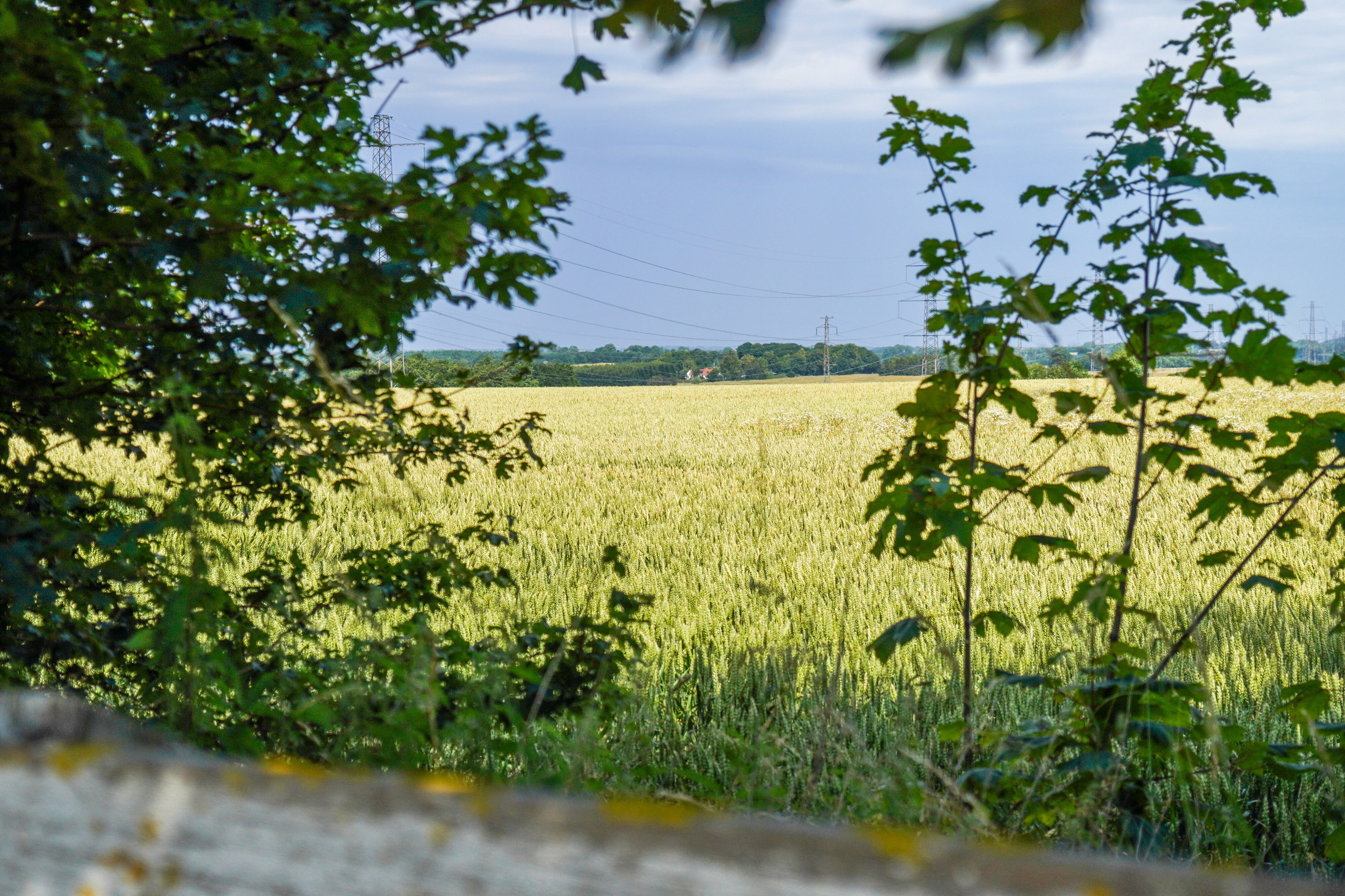 Fremhævet set fra haven billede i fuldskærmstilstand. Billede af Roskildevej 20, 3650 Ølstykke