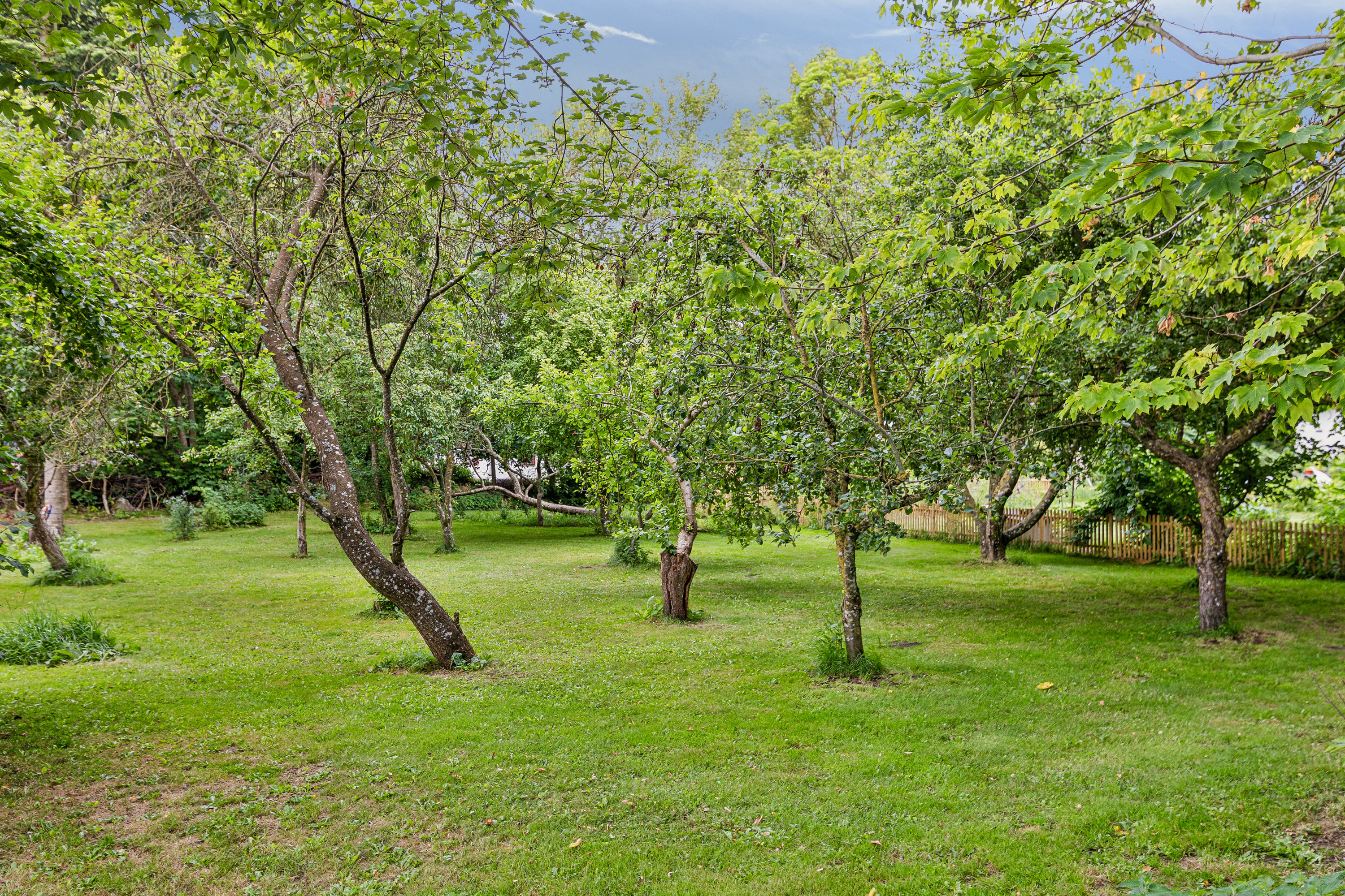 Fremhævet  billede i fuldskærmstilstand. Billede af Skovgårdevej 23, Tustrup, 8961 Allingåbro