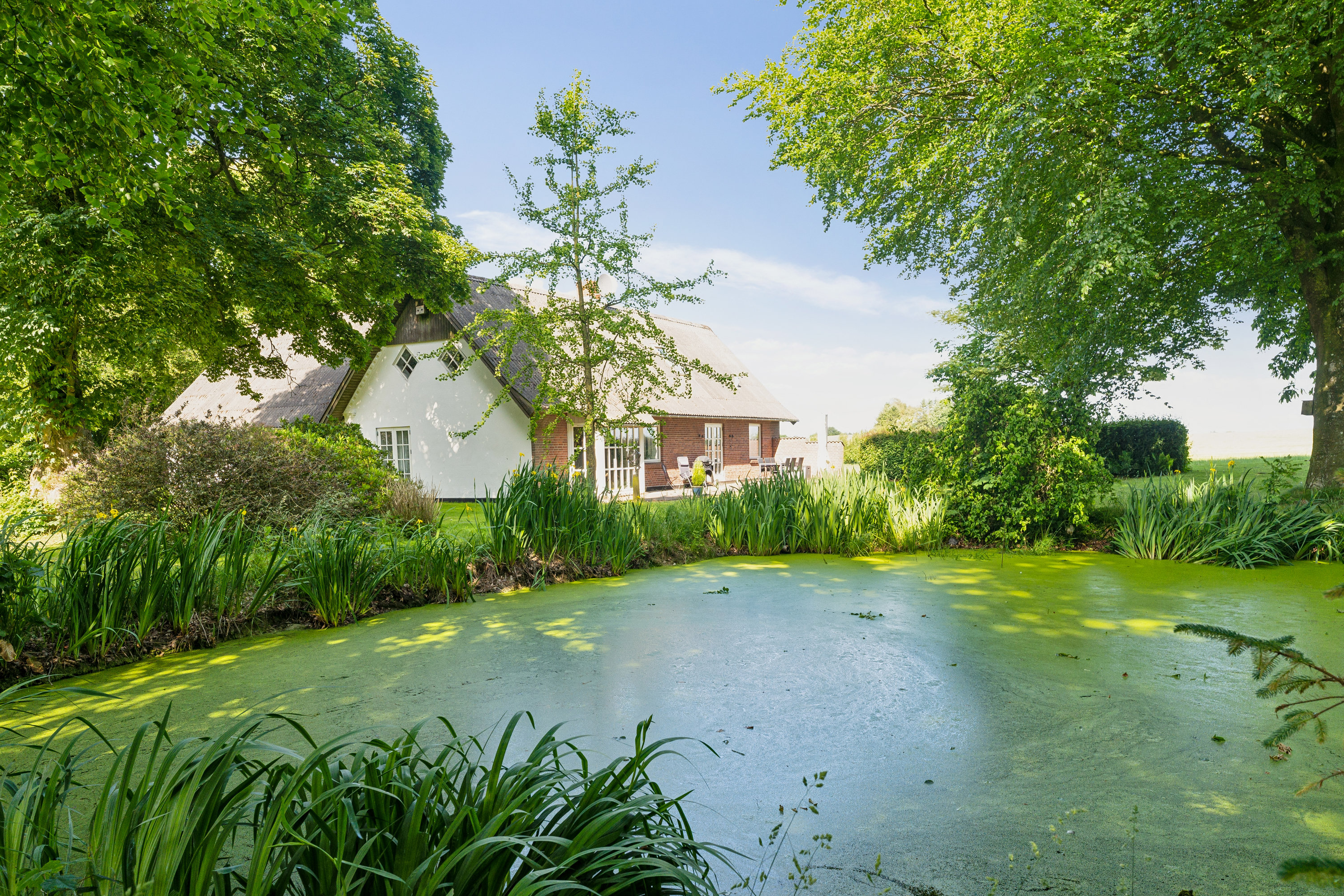 Fremhævet  billede i fuldskærmstilstand. Billede af Frederiksbergvej 63, 8983 Gjerlev J