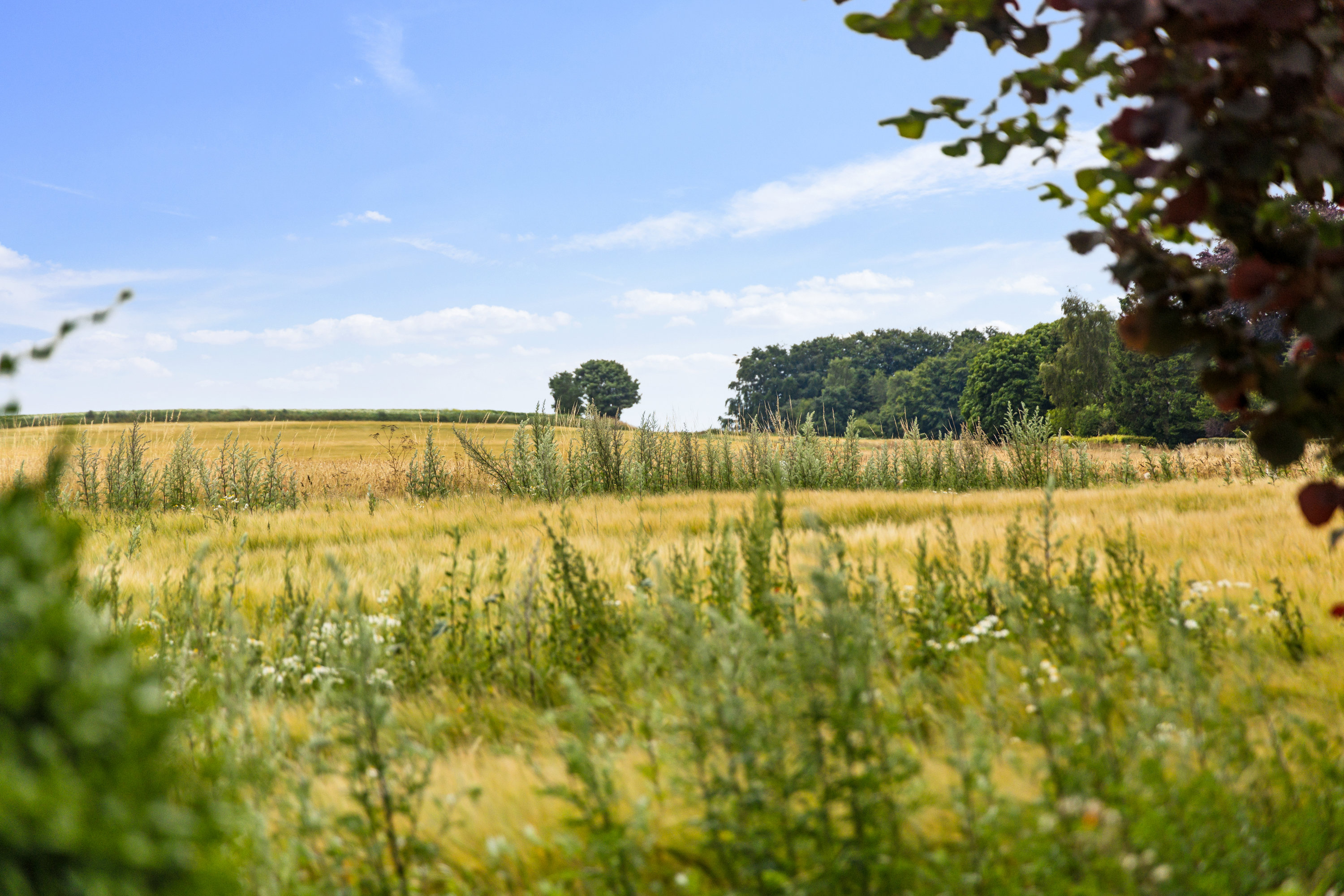 Fremhævet omgivelser billede i fuldskærmstilstand. Billede af Aagade 68, Rørbæk, 9500 Hobro