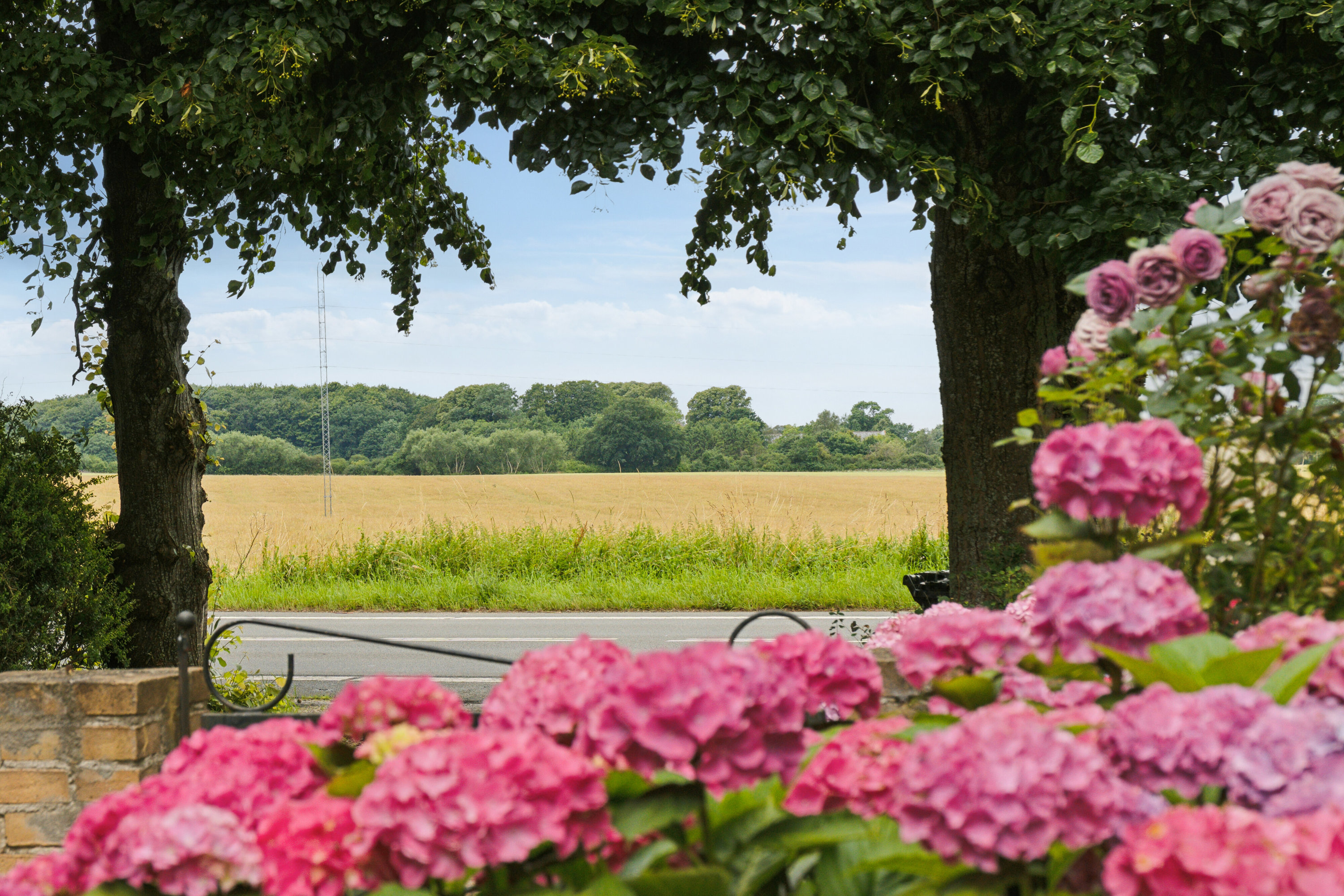 Fremhævet udsigt billede i fuldskærmstilstand. Billede af Sorø Landevej 206, Eggeslevmagle, 4230 Skælskør