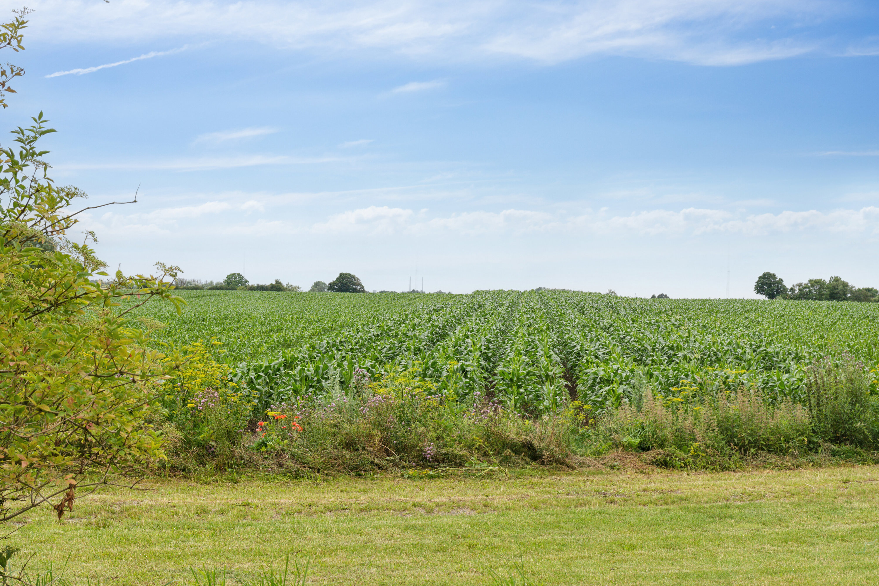 Fremhævet udsigt billede i fuldskærmstilstand. Billede af Sorø Landevej 206, Eggeslevmagle, 4230 Skælskør