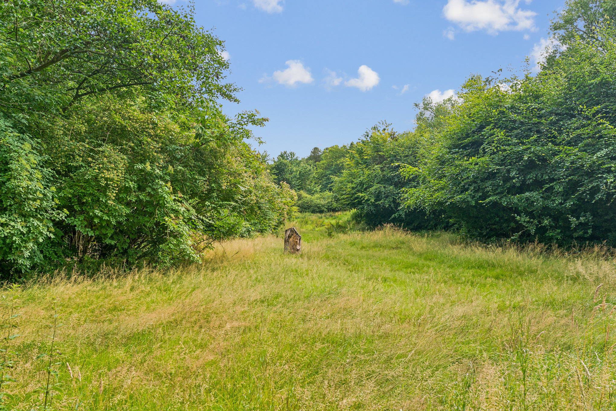Fremhævet grund billede i fuldskærmstilstand. Billede af Østervangsvej 21, Dalbyneder, 8970 Havndal