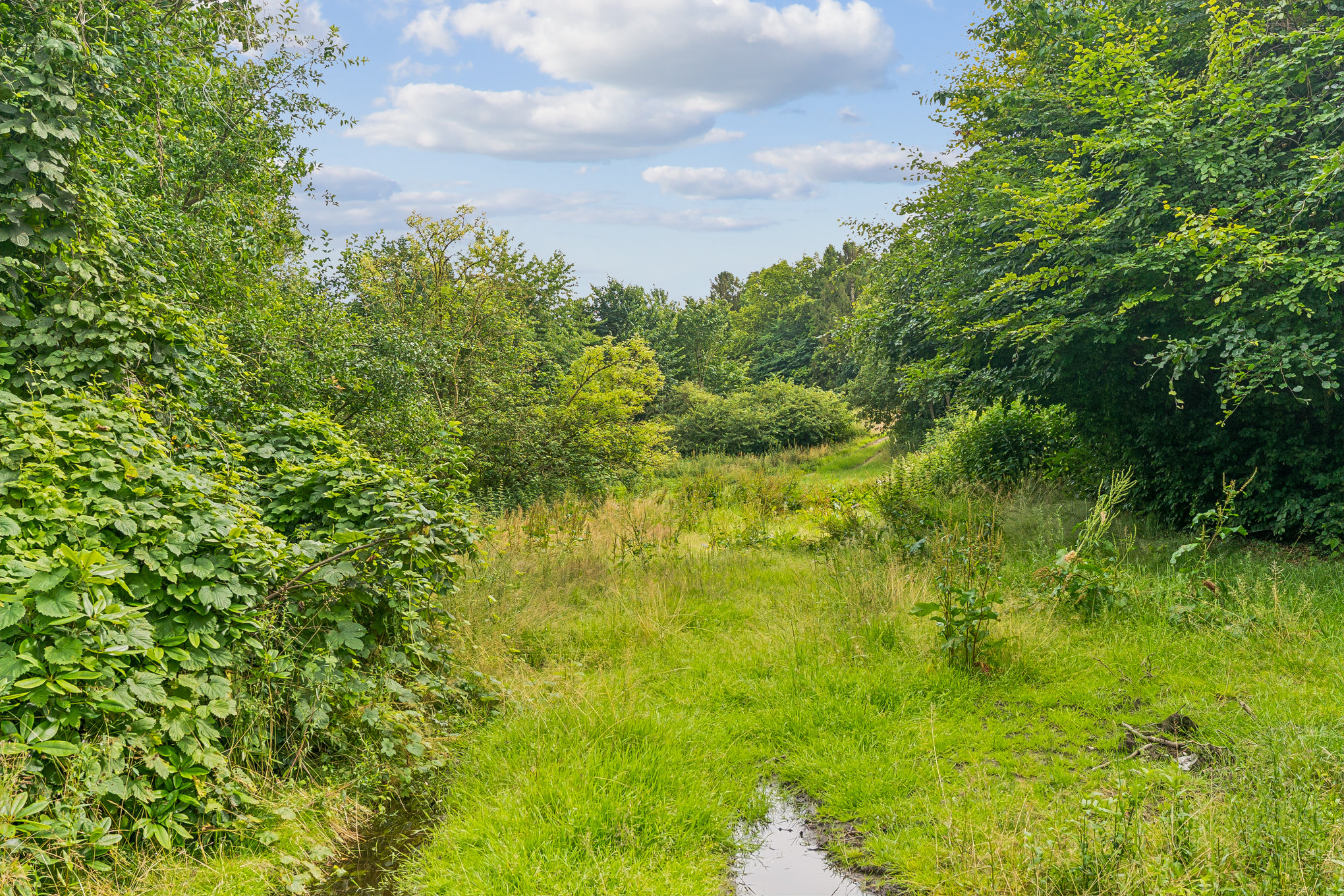 Fremhævet have billede i fuldskærmstilstand. Billede af Østervangsvej 21, Dalbyneder, 8970 Havndal