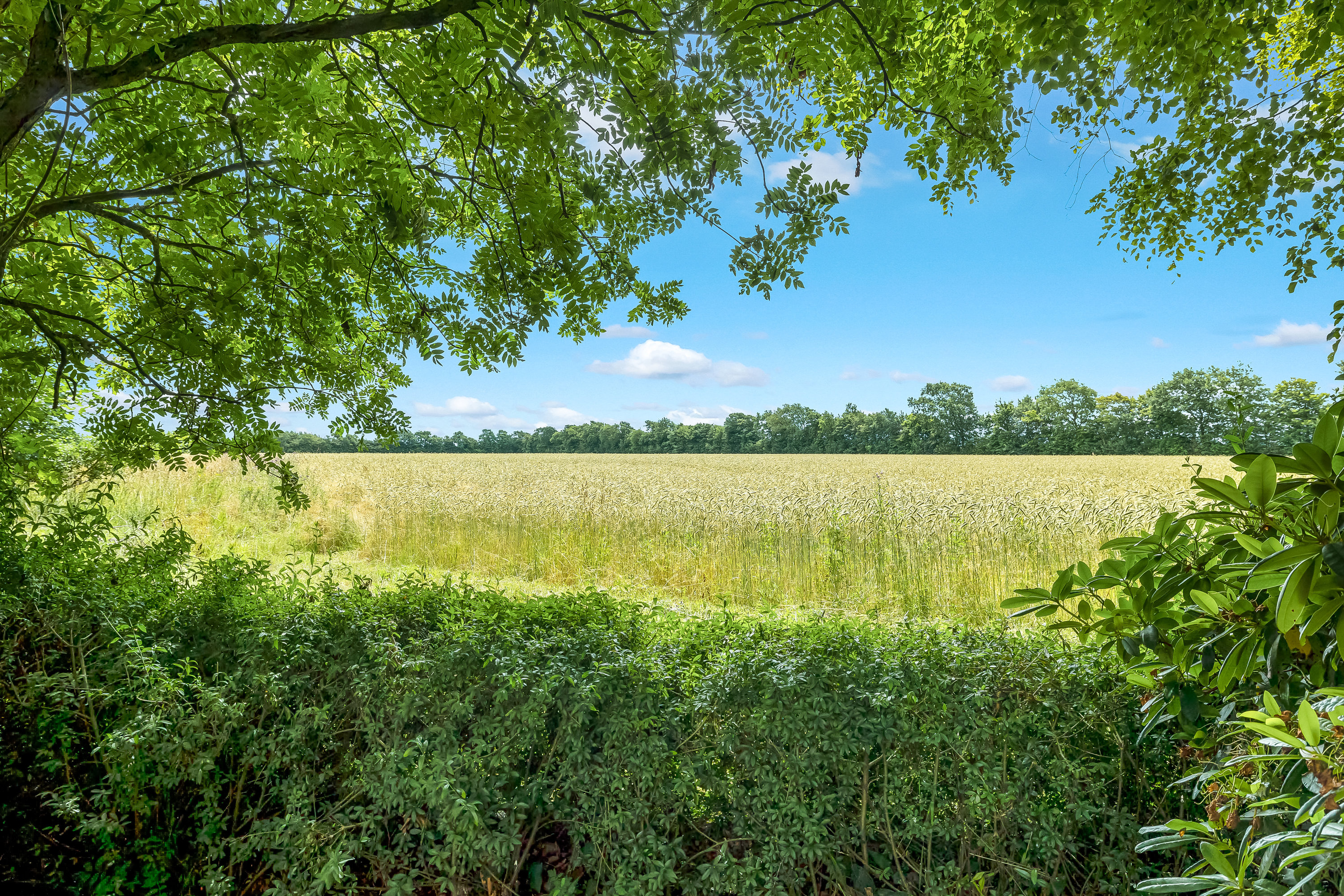 Fremhævet udsigt billede i fuldskærmstilstand. Billede af Højbyvej 2, Borris, 6900 Skjern
