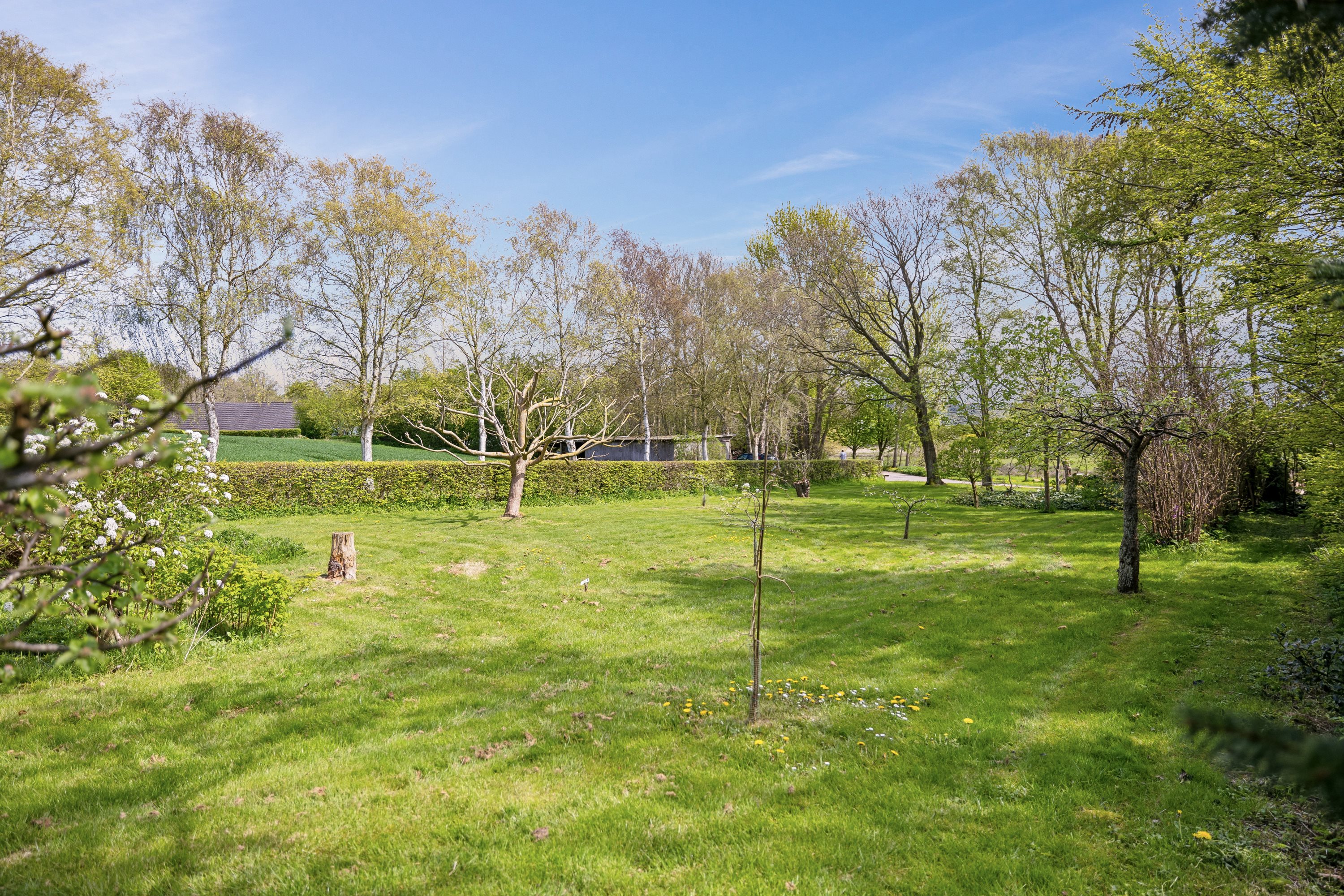 Fremhævet have billede i fuldskærmstilstand. Billede af Helnæsvej 4A, Brydegaard, 5683 Haarby