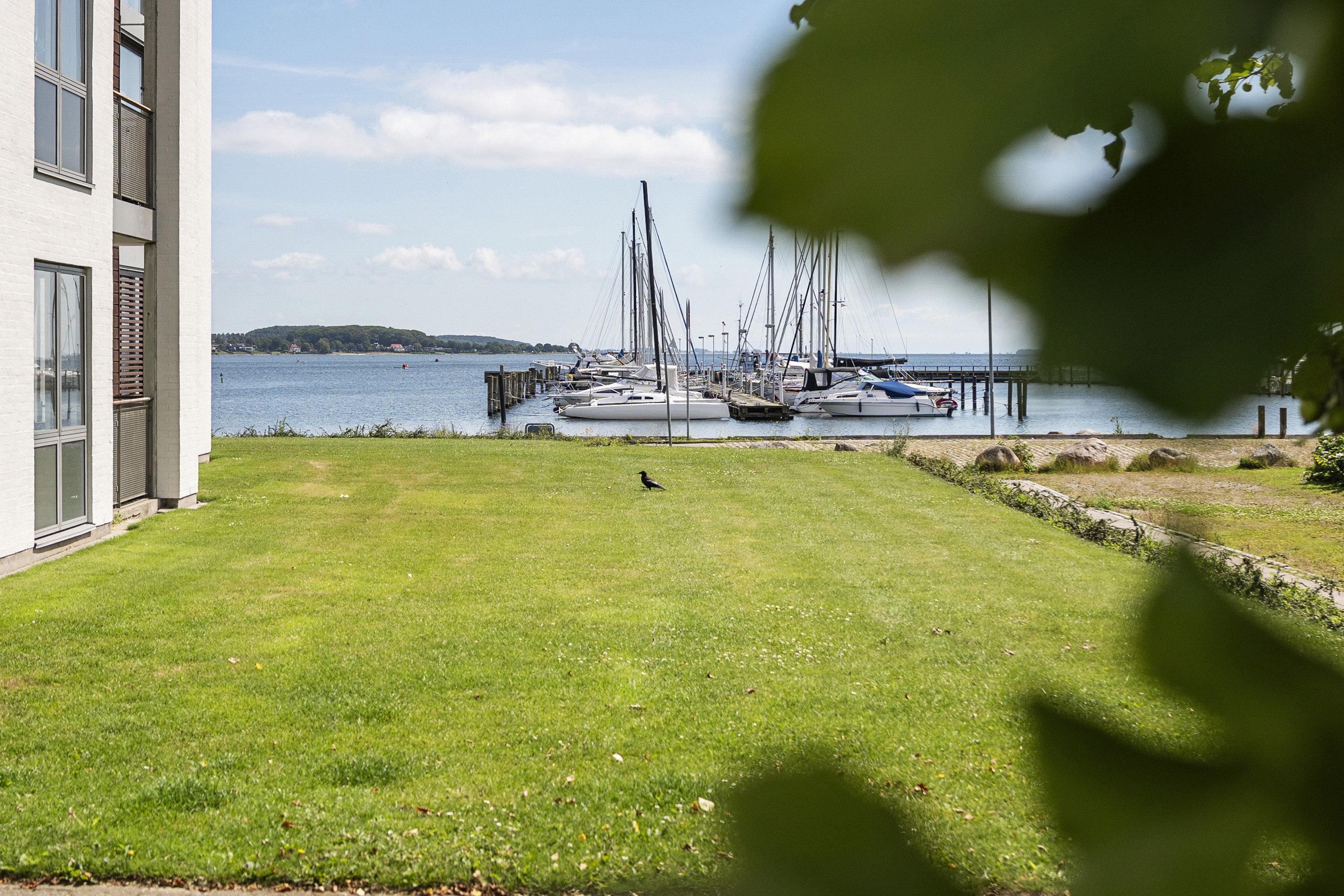 Fremhævet område billede i fuldskærmstilstand. Billede af Langelinie 14D, 8700 Horsens
